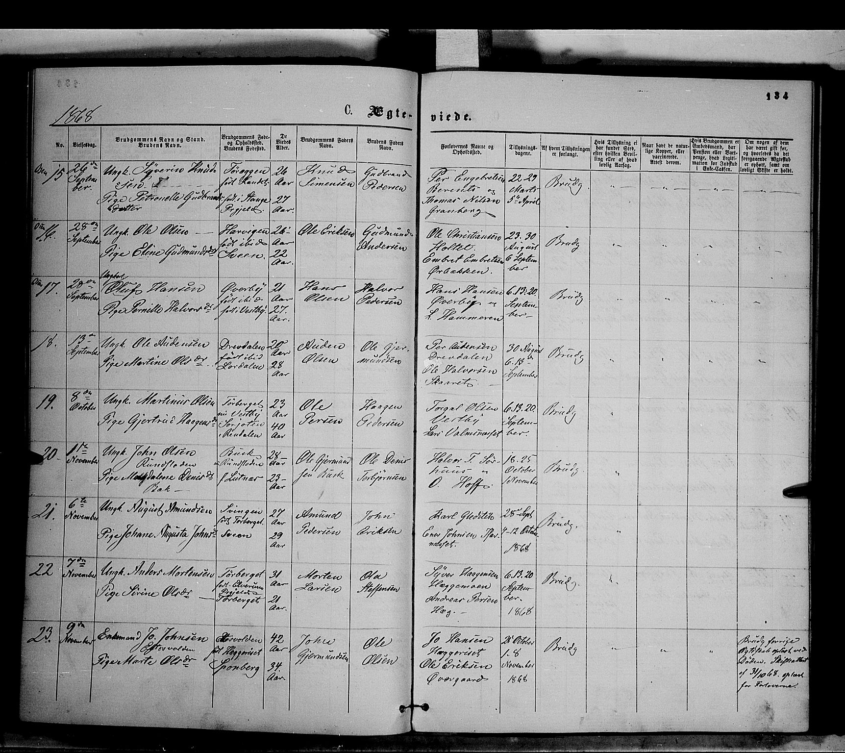 Trysil prestekontor, AV/SAH-PREST-046/H/Ha/Haa/L0006: Ministerialbok nr. 6, 1866-1873, s. 134