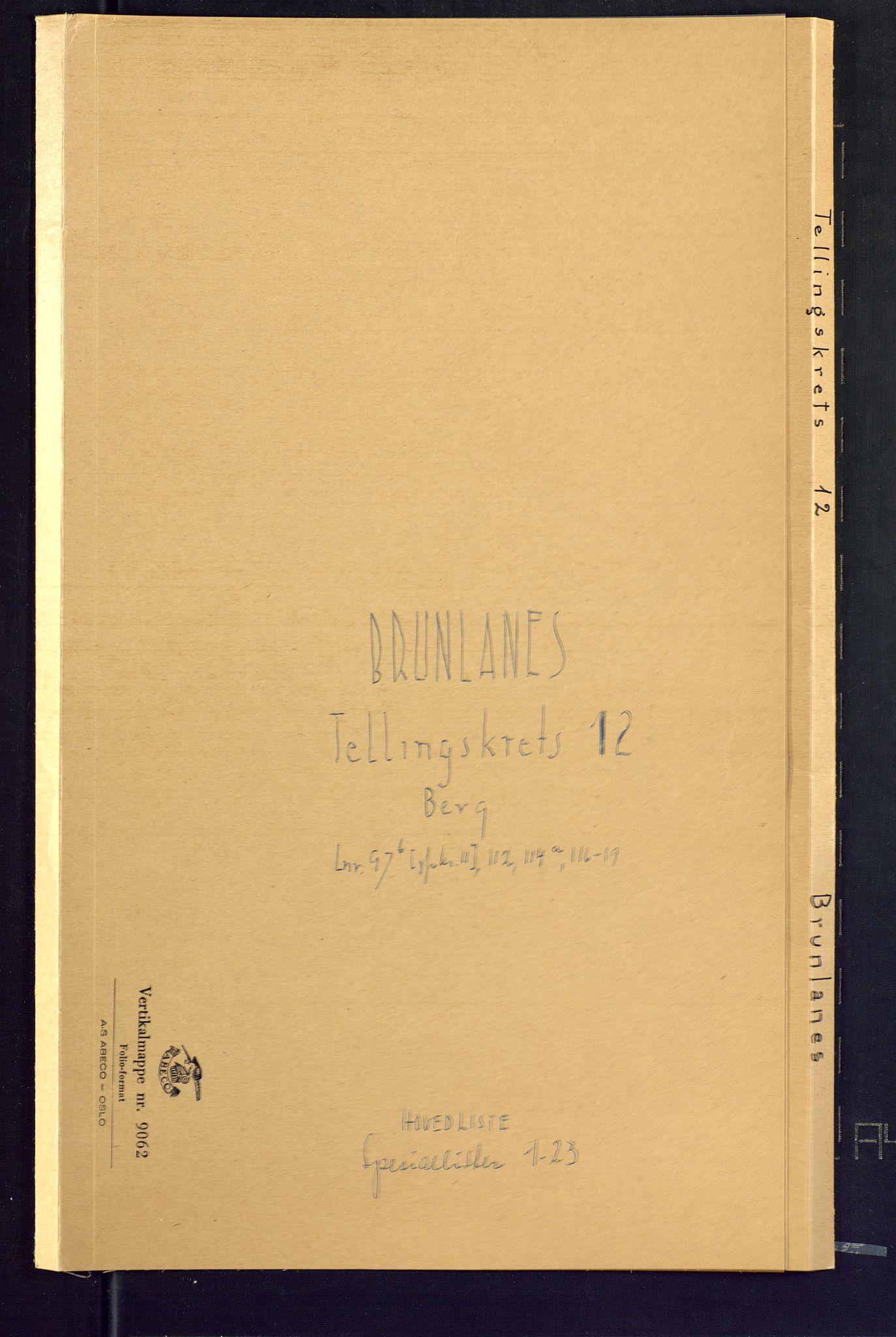 SAKO, Folketelling 1875 for 0726P Brunlanes prestegjeld, 1875, s. 46