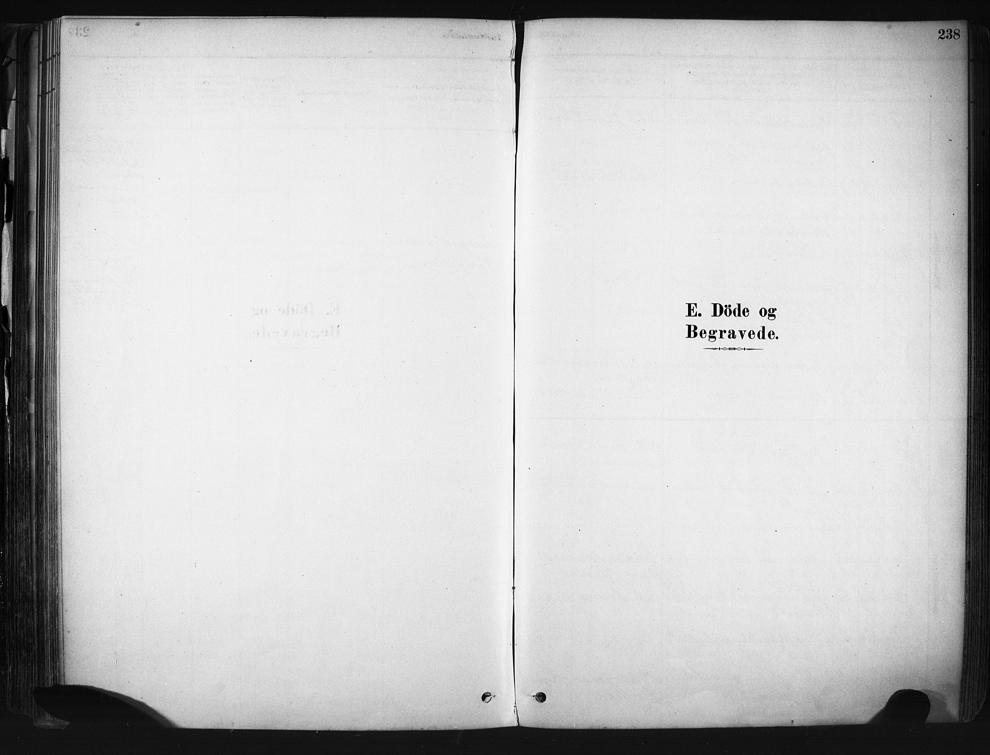 Drøbak prestekontor Kirkebøker, SAO/A-10142a/F/Fb/L0001: Ministerialbok nr. II 1, 1878-1891, s. 238