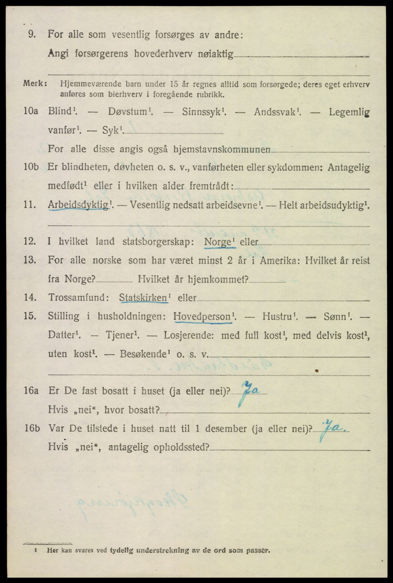 SAK, Folketelling 1920 for 0936 Hornnes herred, 1920, s. 3028