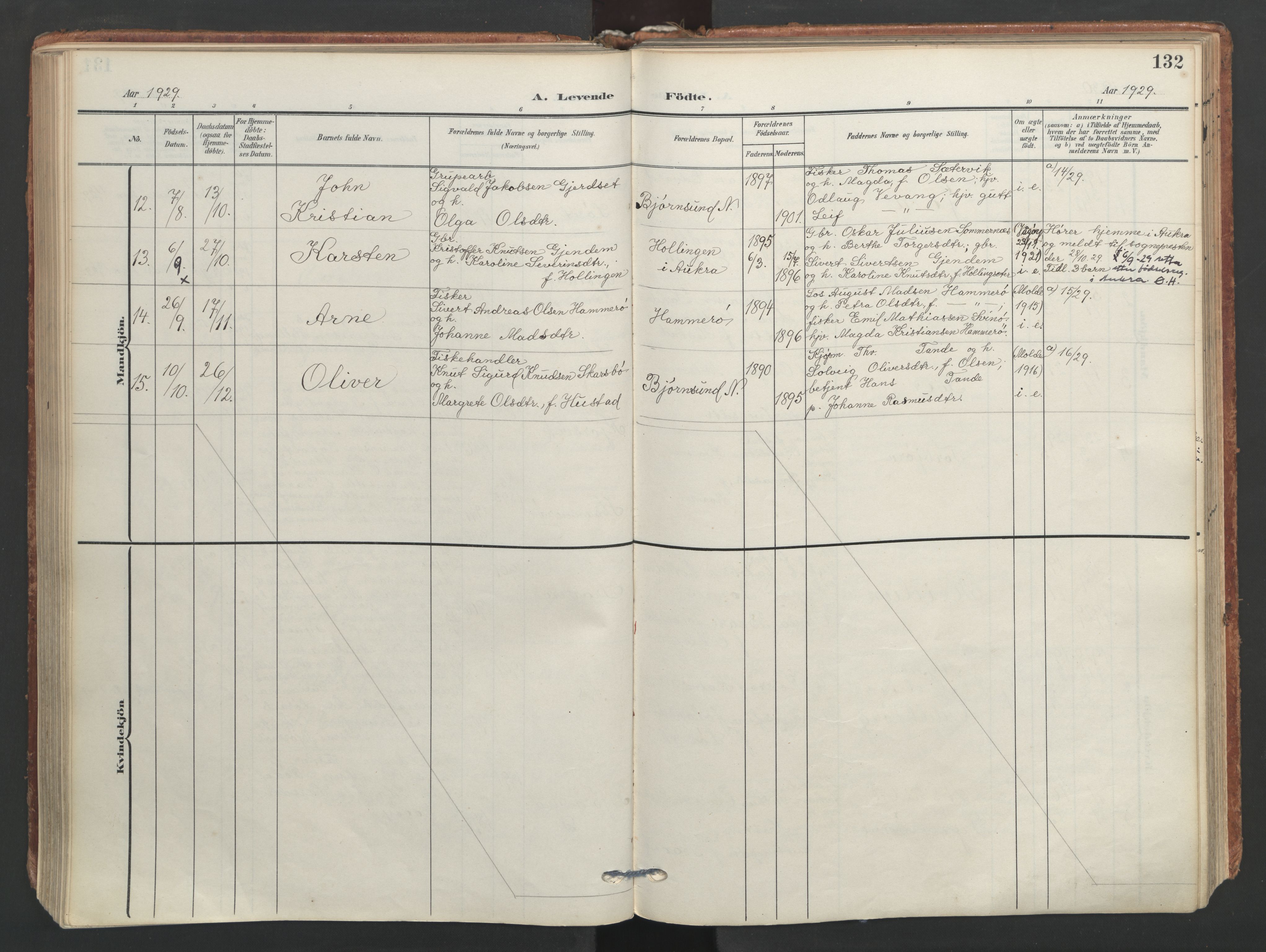 Ministerialprotokoller, klokkerbøker og fødselsregistre - Møre og Romsdal, AV/SAT-A-1454/565/L0751: Ministerialbok nr. 565A05, 1905-1979, s. 132