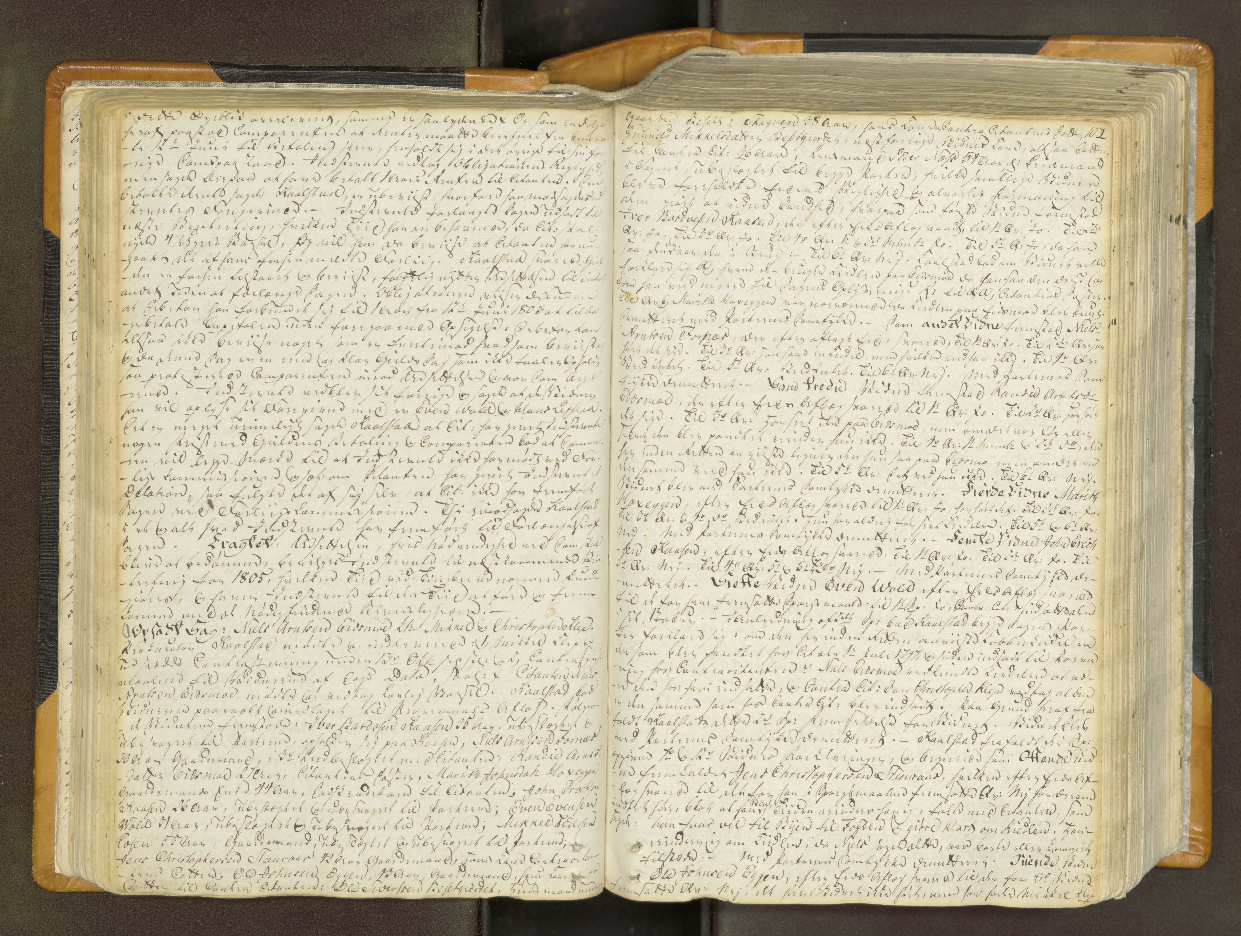Gauldal sorenskriveri, AV/SAT-A-0014/1/1/1A/L0011: Tingbok 10, 1803-1810, s. 101b-102a