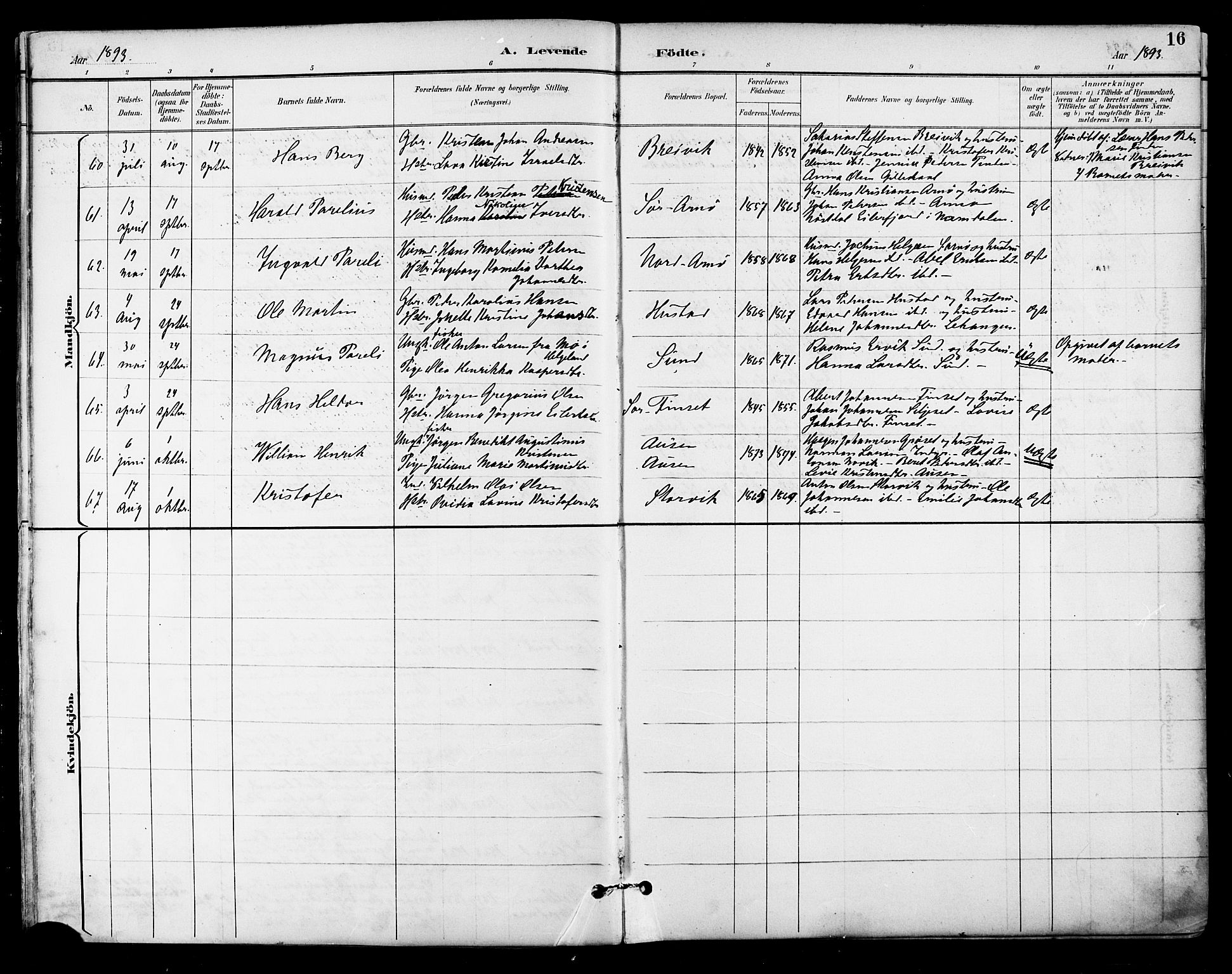 Ministerialprotokoller, klokkerbøker og fødselsregistre - Nordland, AV/SAT-A-1459/805/L0101: Ministerialbok nr. 805A07, 1892-1899, s. 16