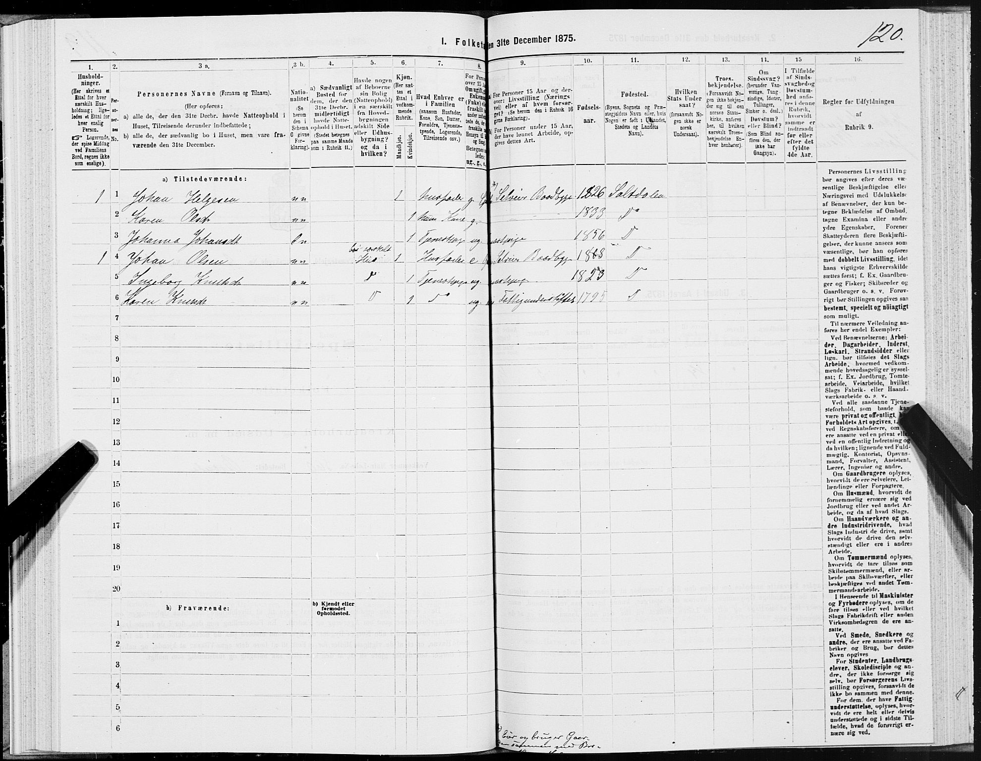 SAT, Folketelling 1875 for 1840P Saltdal prestegjeld, 1875, s. 2120