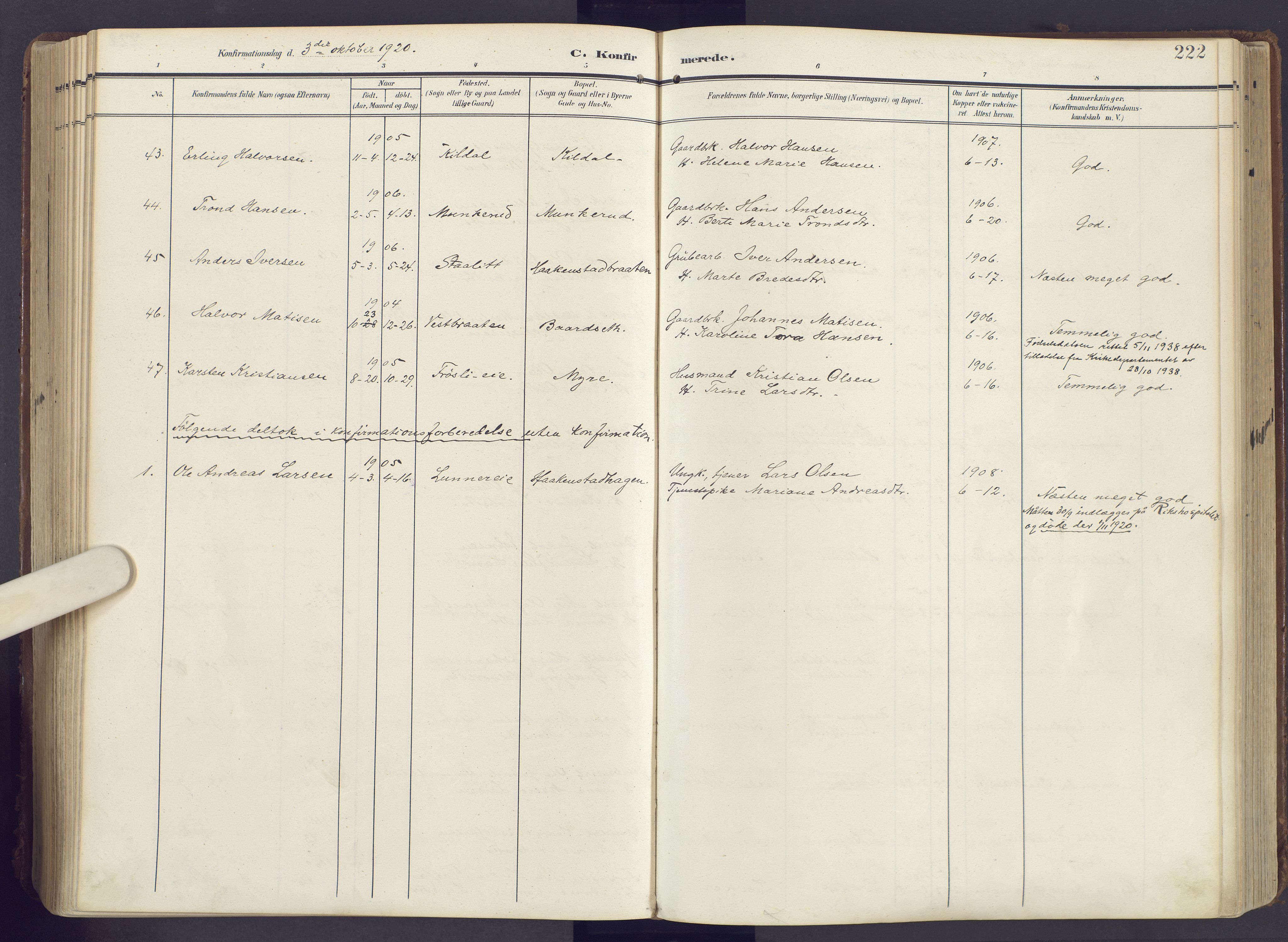 Lunner prestekontor, AV/SAH-PREST-118/H/Ha/Haa/L0001: Ministerialbok nr. 1, 1907-1922, s. 222