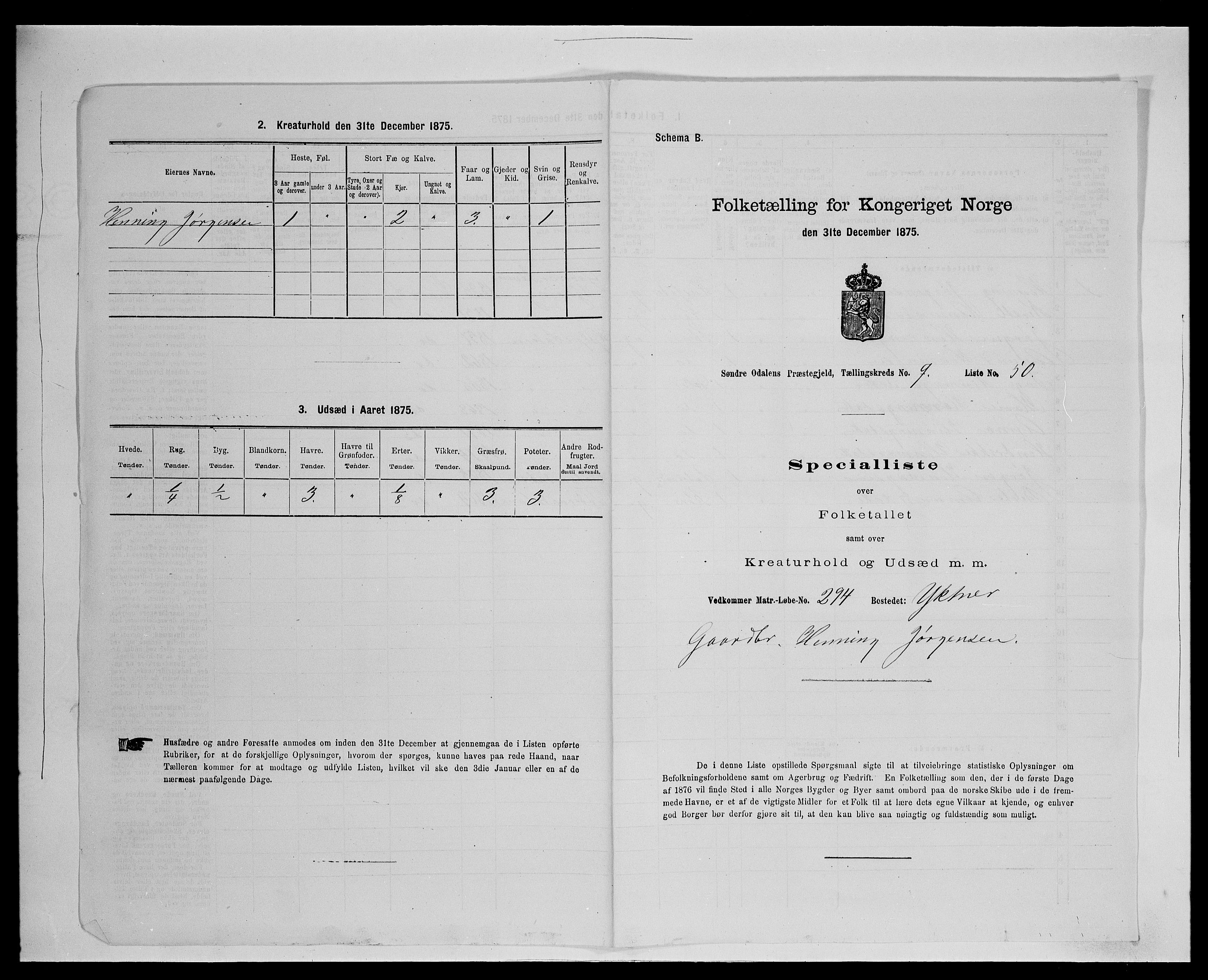 SAH, Folketelling 1875 for 0419P Sør-Odal prestegjeld, 1875, s. 980