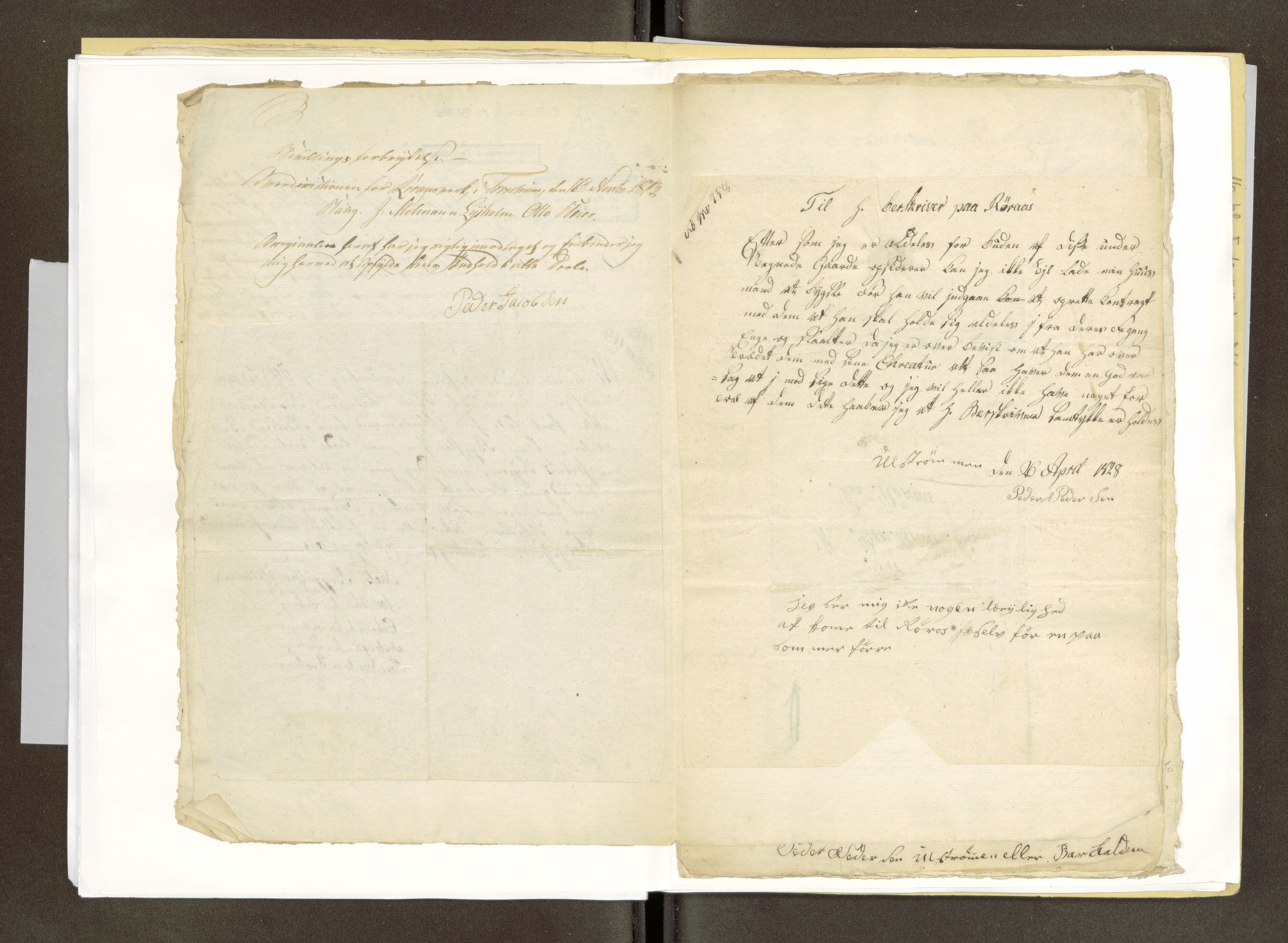 Røros kobberverk, AV/SAT-PA-0211/1/16/16F6/L0001: Strøgods i Lilleelvdalen, 1801-1851, s. 81