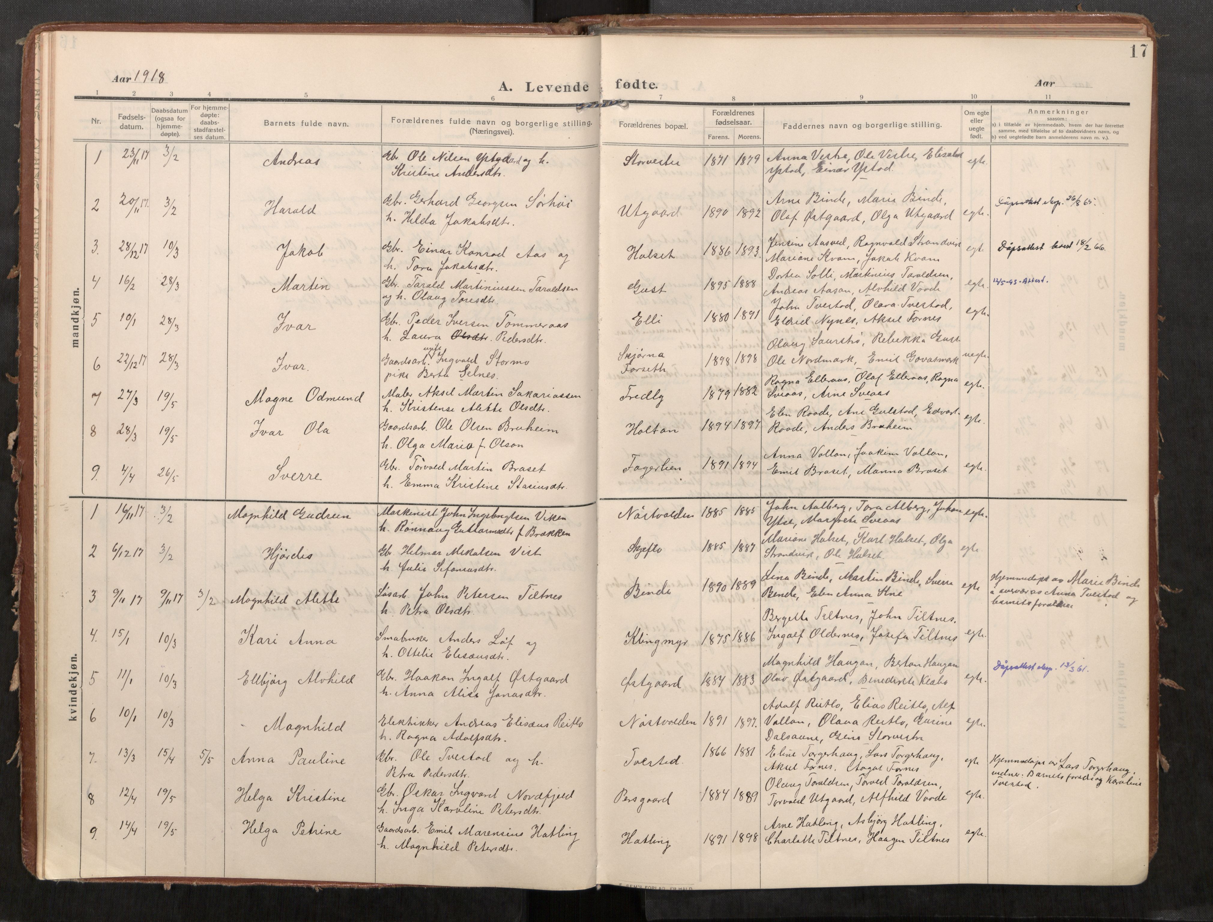 Stod sokneprestkontor, SAT/A-1164/1/I/I1/I1a/L0002: Ministerialbok nr. 2, 1909-1922, s. 17