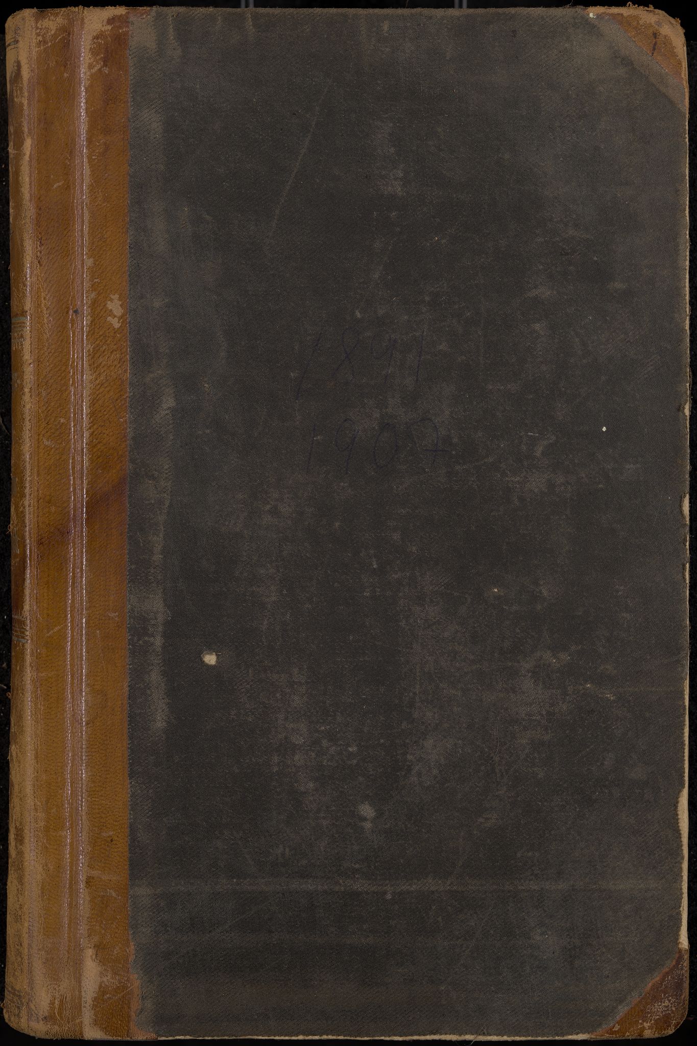 Ådal formannskap og sentraladministrasjon, IKAK/0614021/A/Aa/L0002: Møtebok, 1891-1907