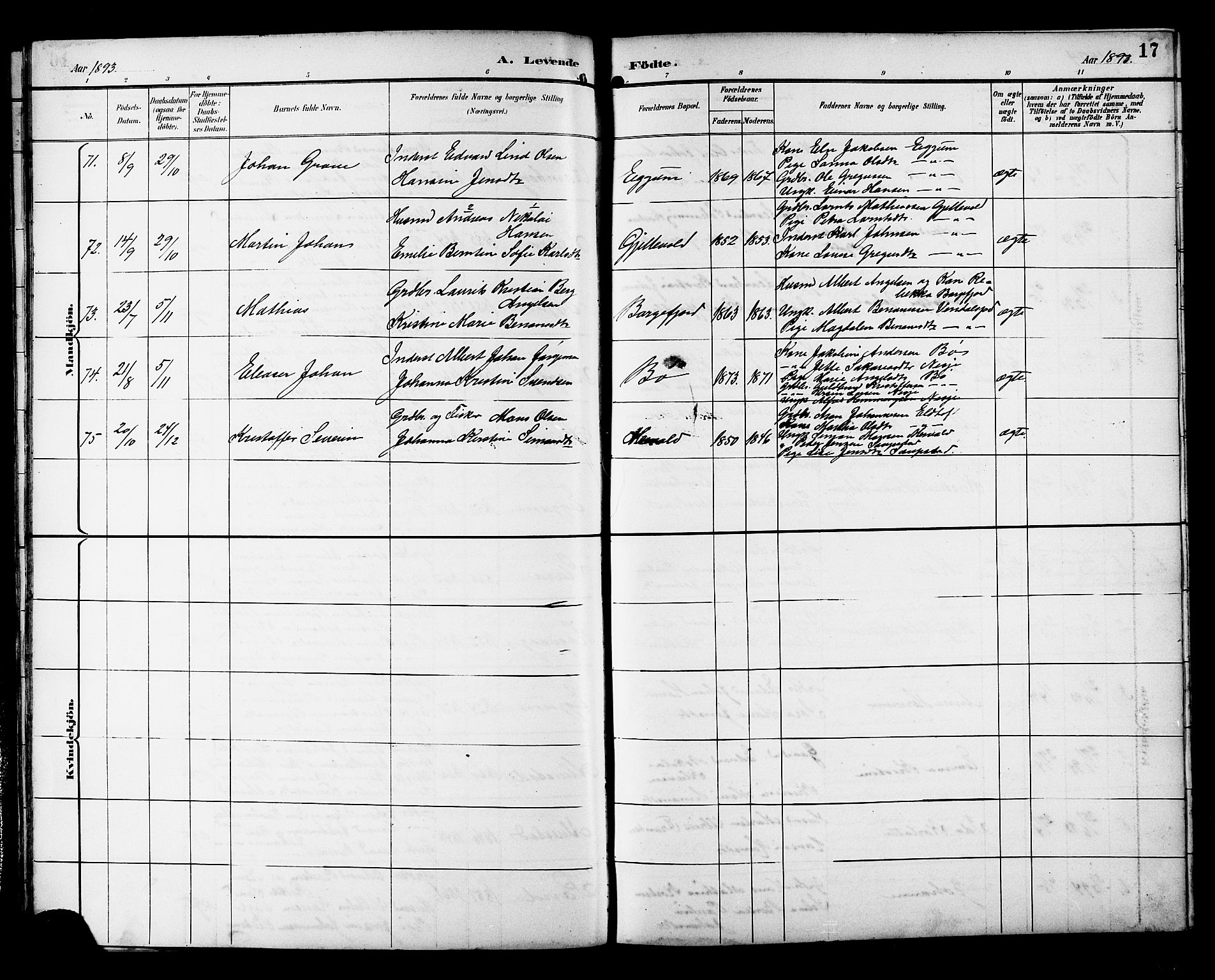 Ministerialprotokoller, klokkerbøker og fødselsregistre - Nordland, AV/SAT-A-1459/880/L1141: Klokkerbok nr. 880C03, 1893-1928, s. 17