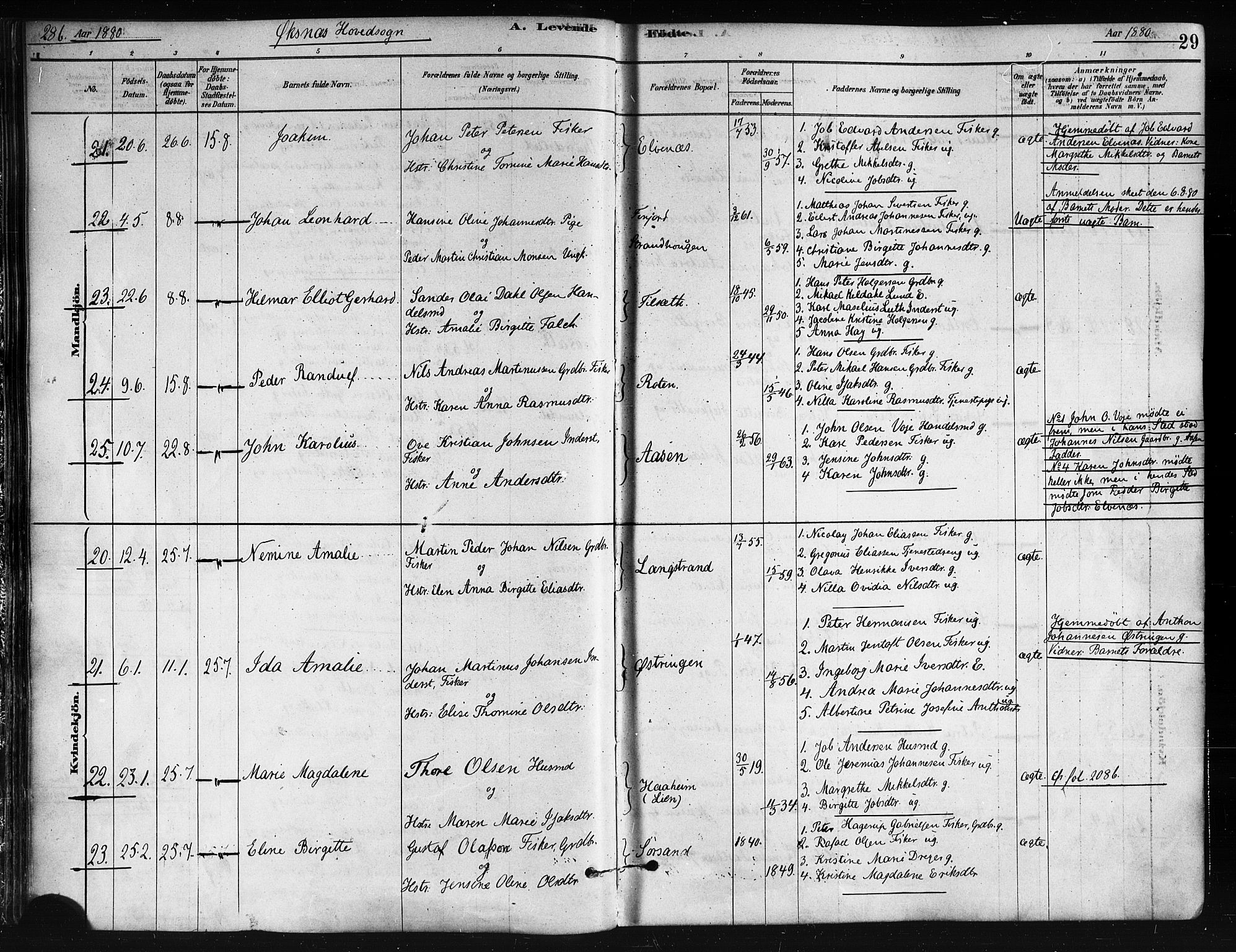 Ministerialprotokoller, klokkerbøker og fødselsregistre - Nordland, AV/SAT-A-1459/893/L1335: Ministerialbok nr. 893A08 /1, 1878-1884, s. 29