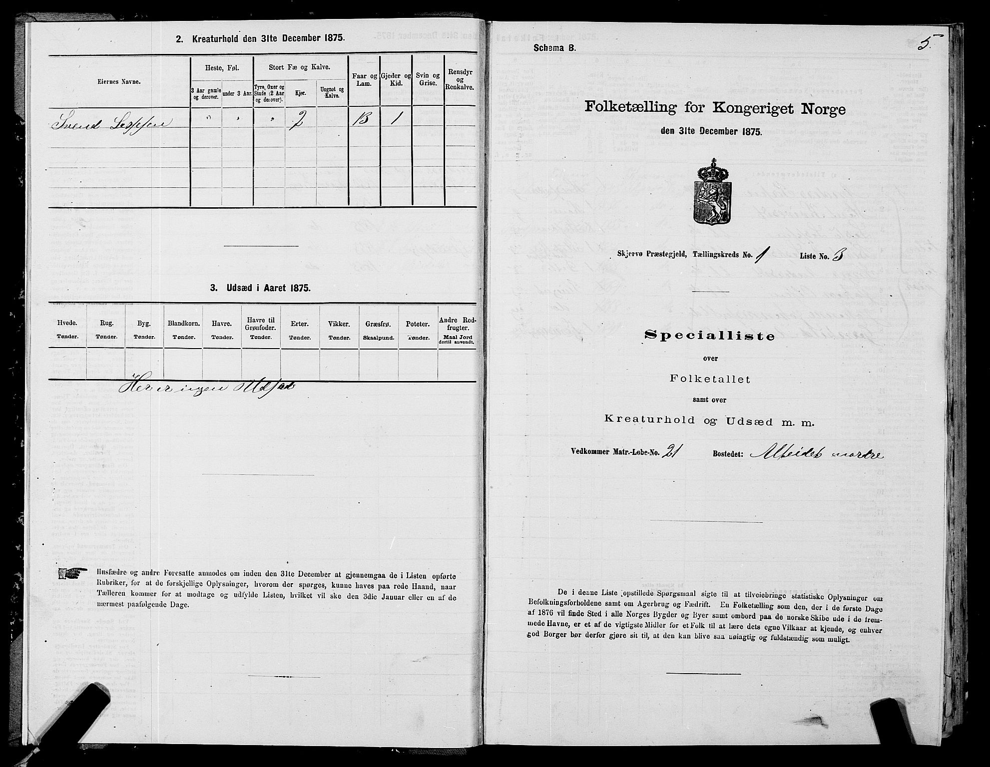 SATØ, Folketelling 1875 for 1941P Skjervøy prestegjeld, 1875, s. 1005