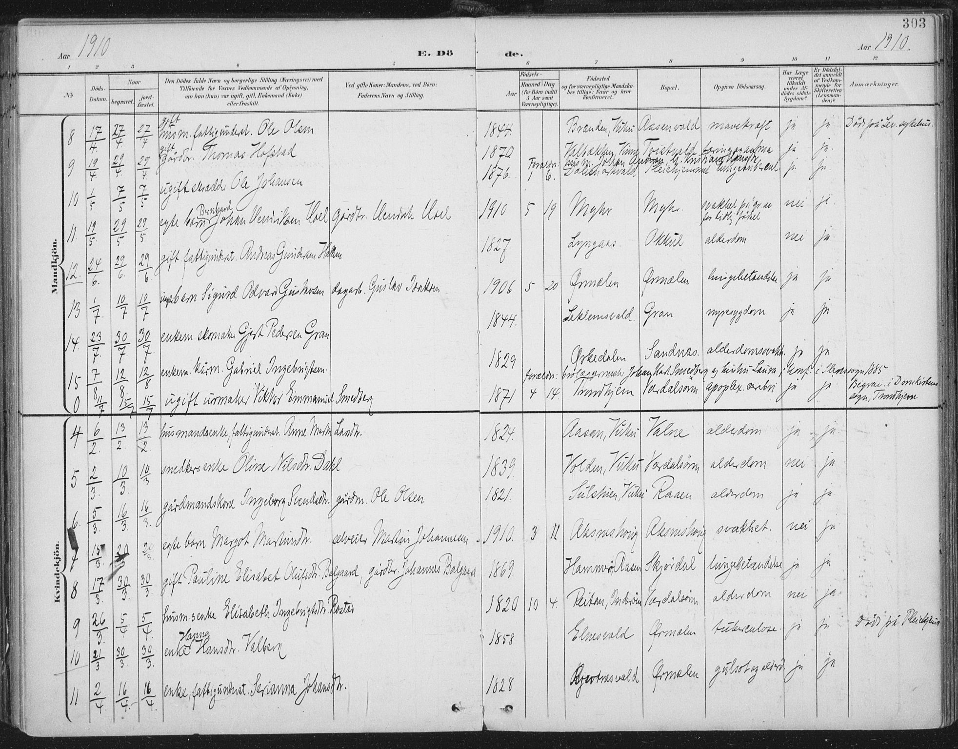 Ministerialprotokoller, klokkerbøker og fødselsregistre - Nord-Trøndelag, AV/SAT-A-1458/723/L0246: Ministerialbok nr. 723A15, 1900-1917, s. 303