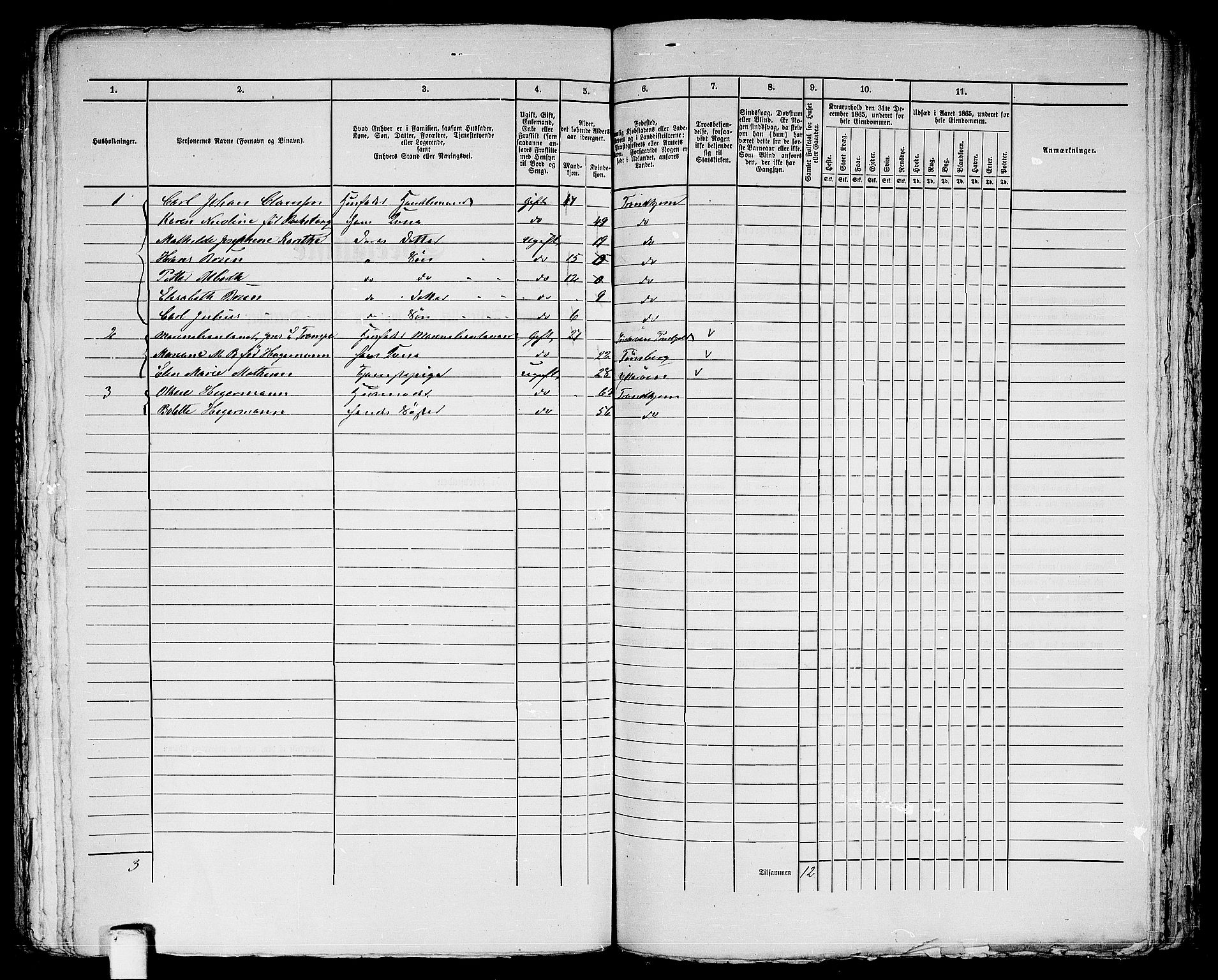 RA, Folketelling 1865 for 1601 Trondheim kjøpstad, 1865, s. 1450