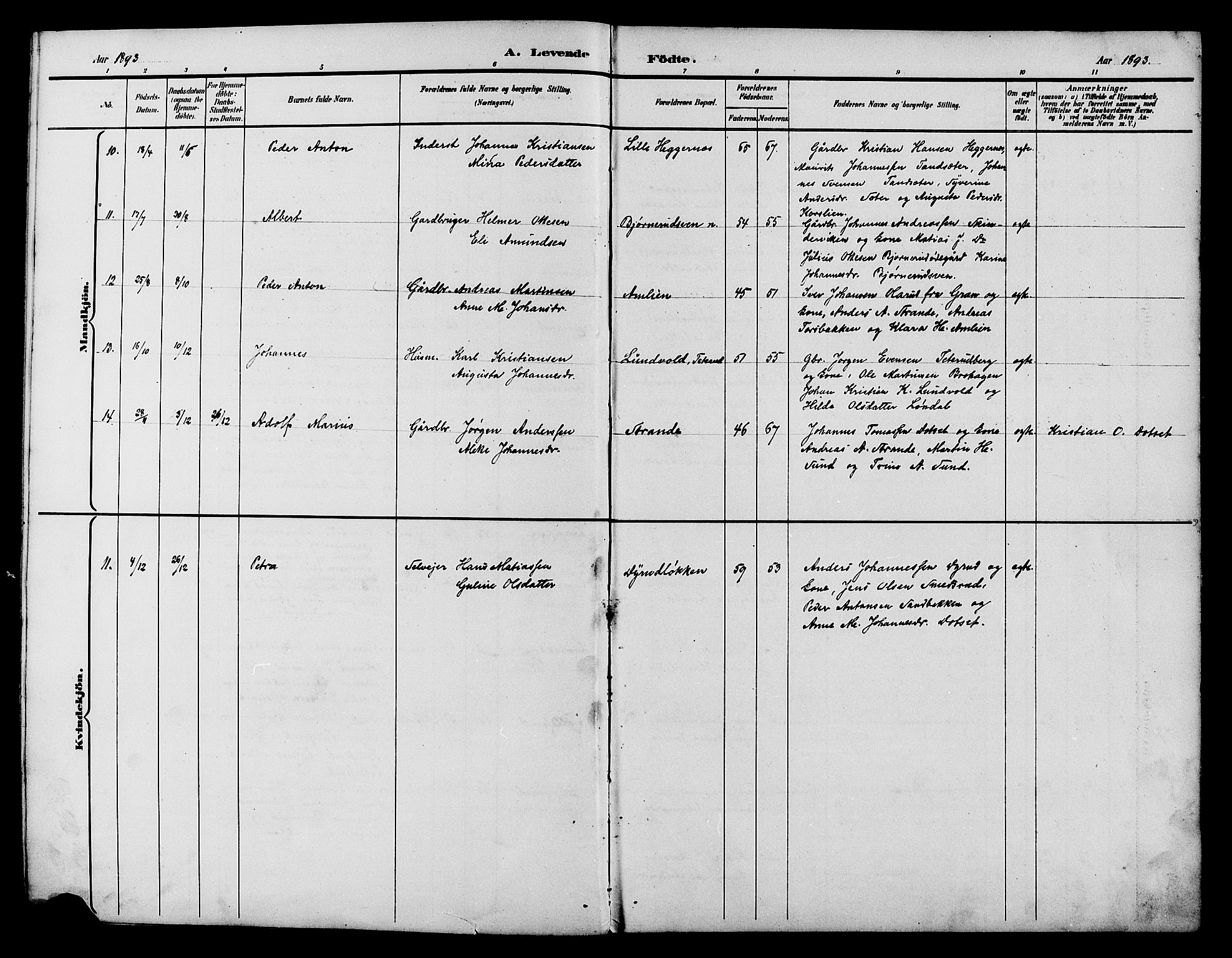 Vestre Toten prestekontor, AV/SAH-PREST-108/H/Ha/Hab/L0015: Klokkerbok nr. 15, 1890-1900