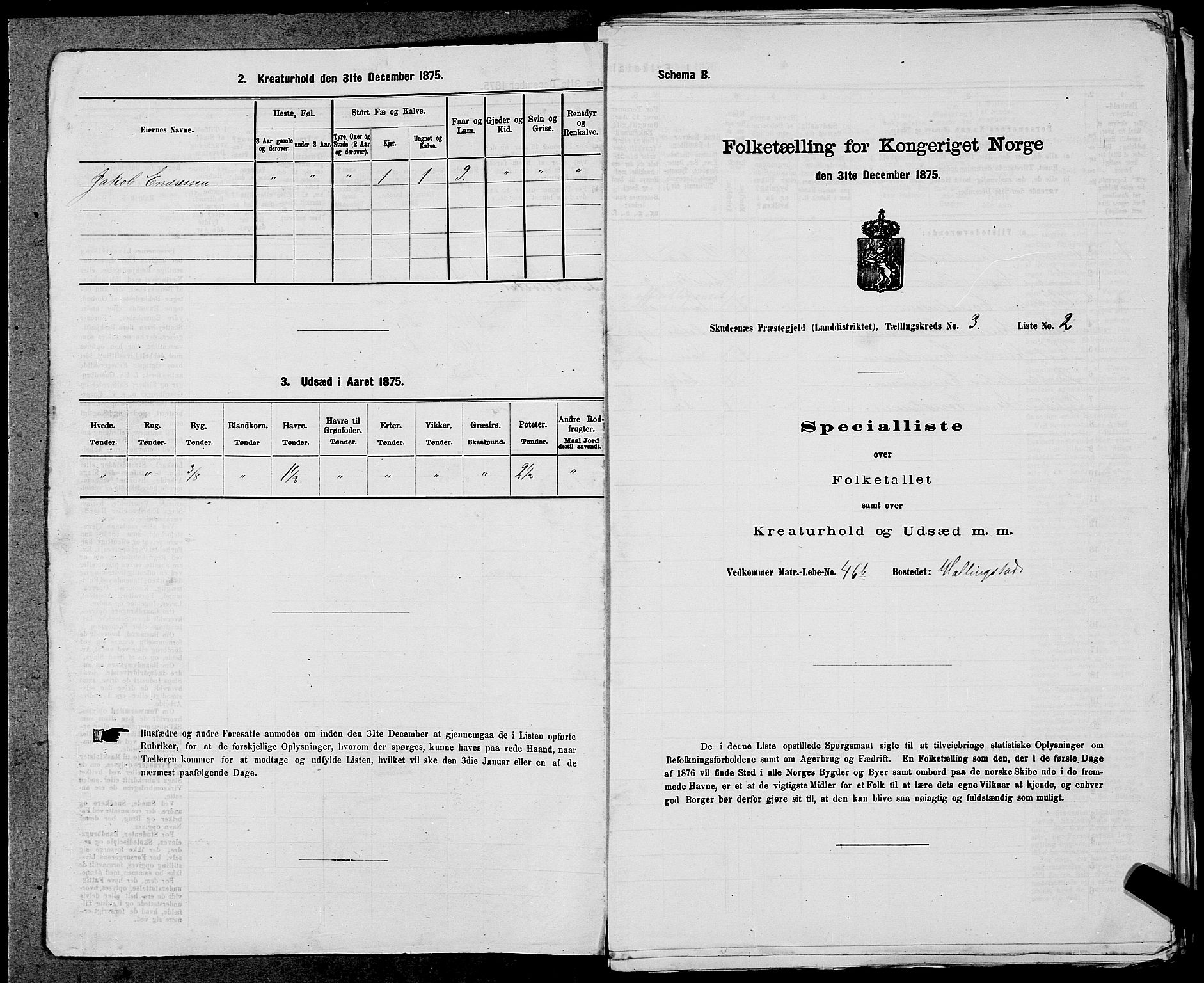 SAST, Folketelling 1875 for 1150L Skudenes prestegjeld, Falnes sokn, Åkra sokn og Ferkingstad sokn, 1875, s. 229