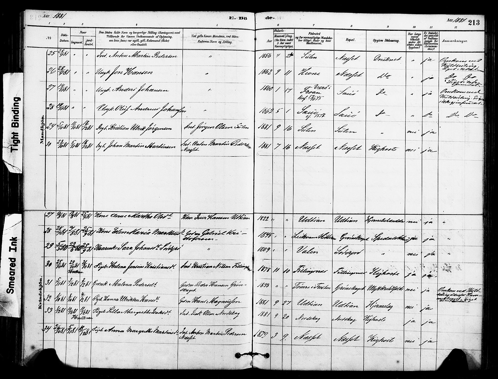 Ministerialprotokoller, klokkerbøker og fødselsregistre - Sør-Trøndelag, SAT/A-1456/640/L0578: Ministerialbok nr. 640A03, 1879-1889, s. 213