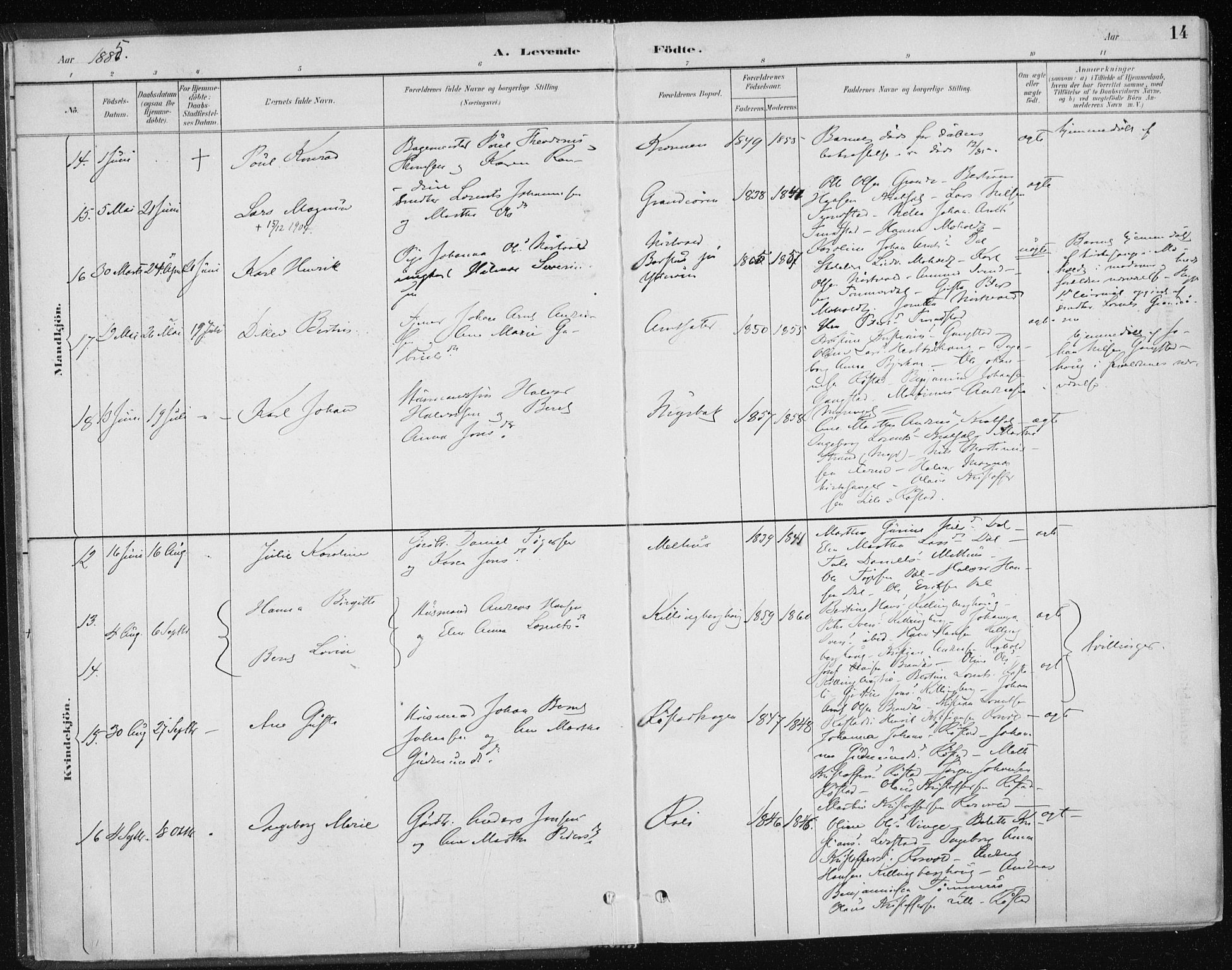 Ministerialprotokoller, klokkerbøker og fødselsregistre - Nord-Trøndelag, SAT/A-1458/701/L0010: Ministerialbok nr. 701A10, 1883-1899, s. 14