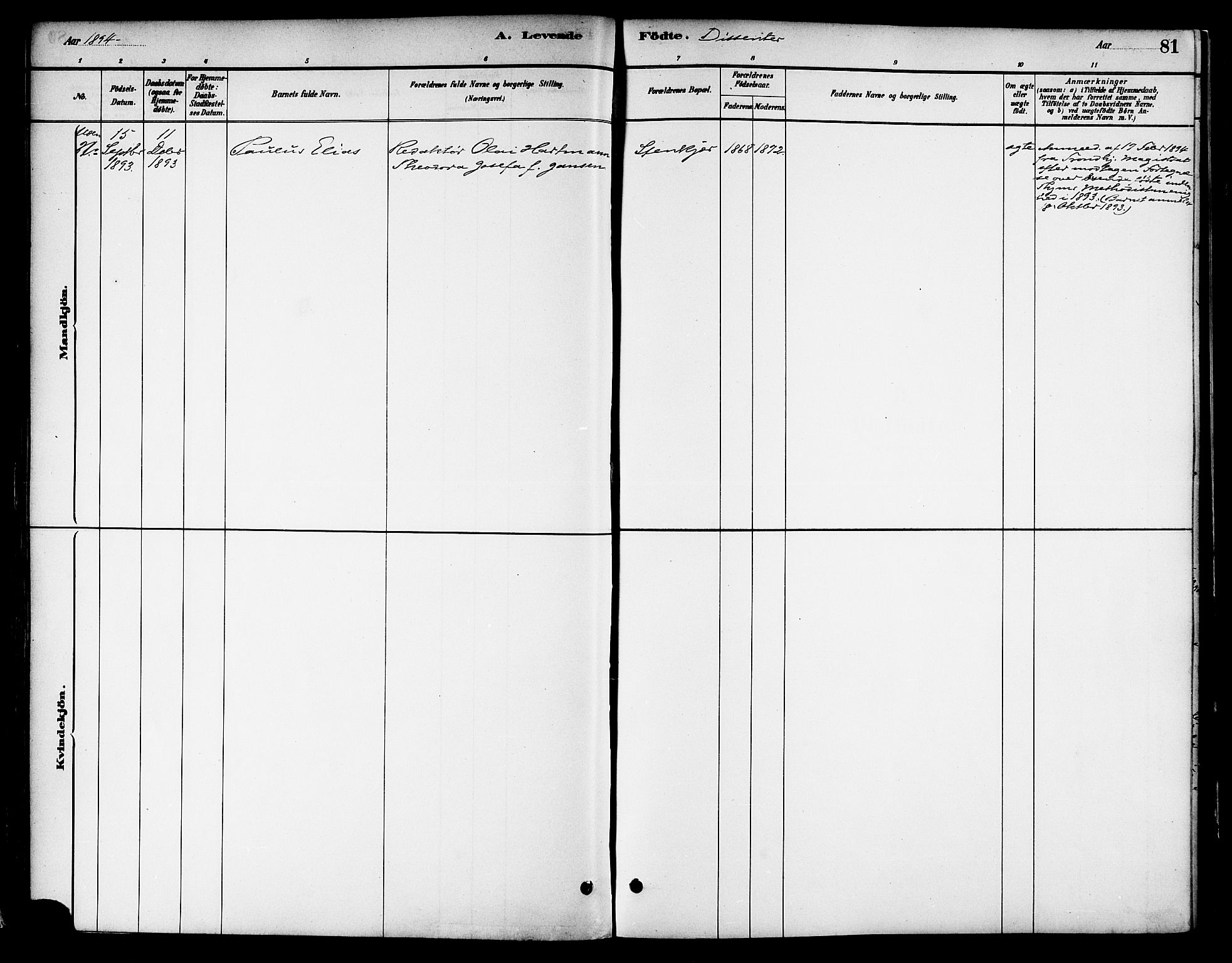 Ministerialprotokoller, klokkerbøker og fødselsregistre - Nord-Trøndelag, AV/SAT-A-1458/739/L0371: Ministerialbok nr. 739A03, 1881-1895, s. 81