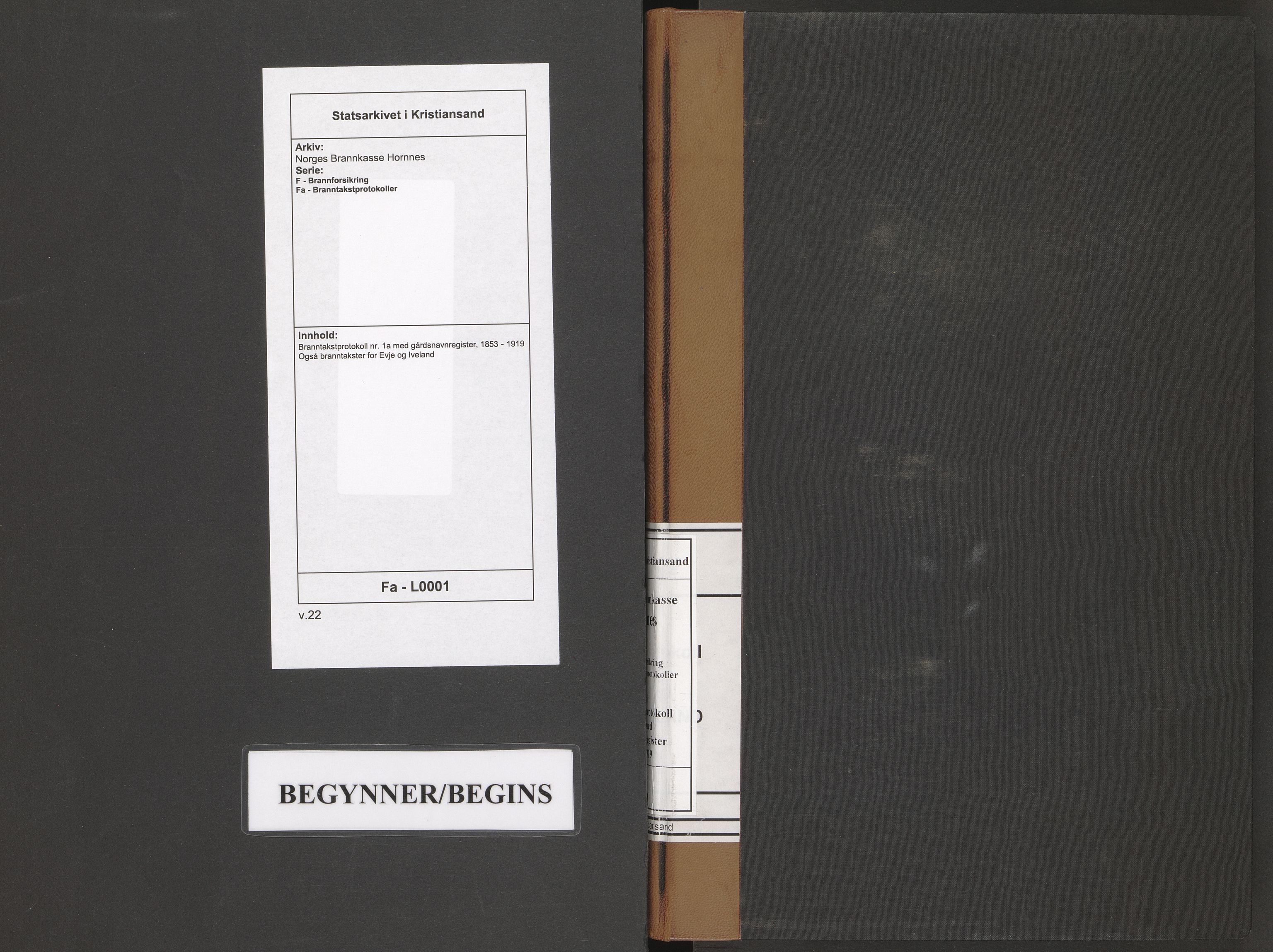 Norges Brannkasse Hornnes, SAK/2241-0026/F/Fa/L0001: Branntakstprotokoll nr. 1a med gårdsnavnregister, 1853-1919