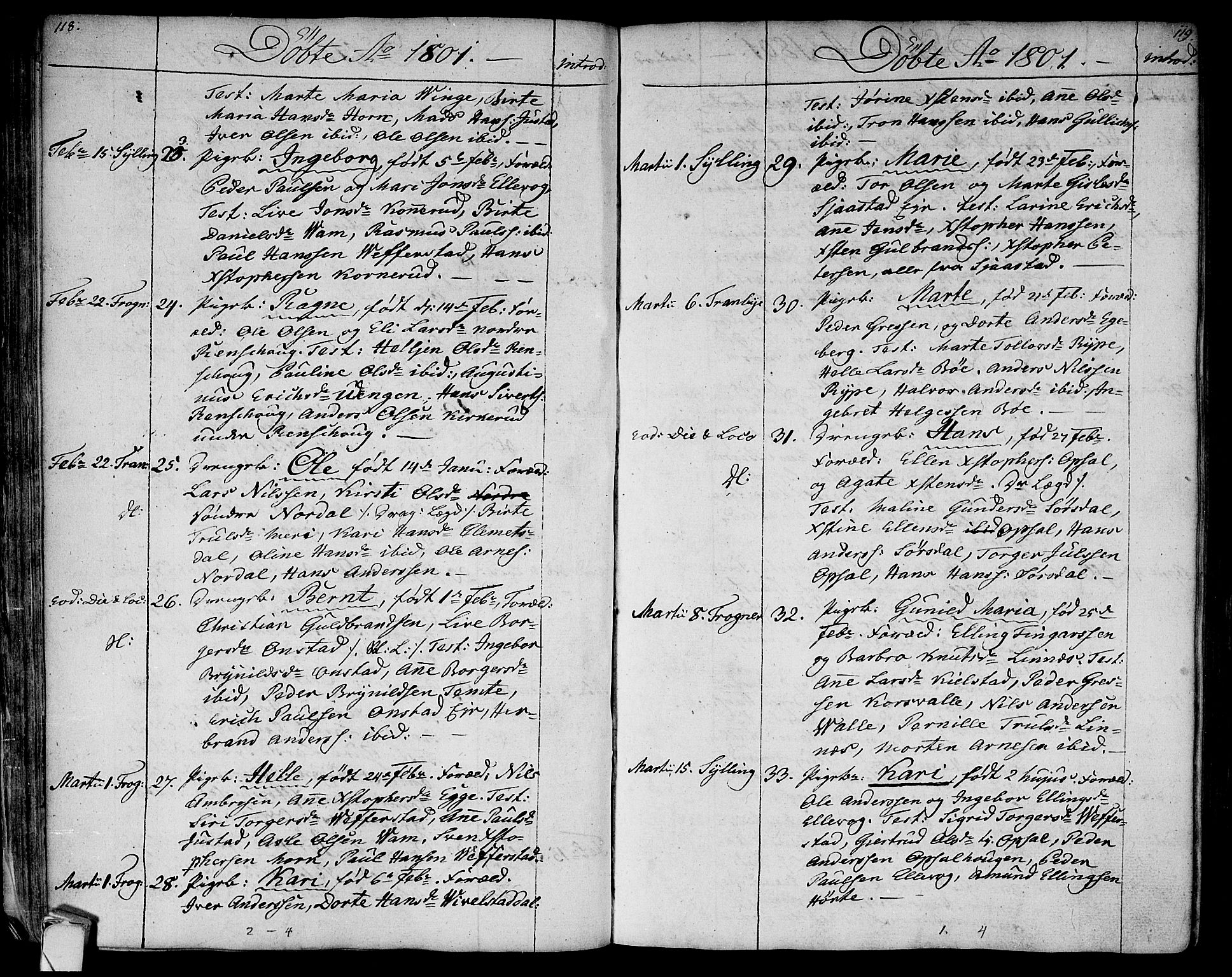 Lier kirkebøker, AV/SAKO-A-230/F/Fa/L0007: Ministerialbok nr. I 7, 1794-1813, s. 118-119