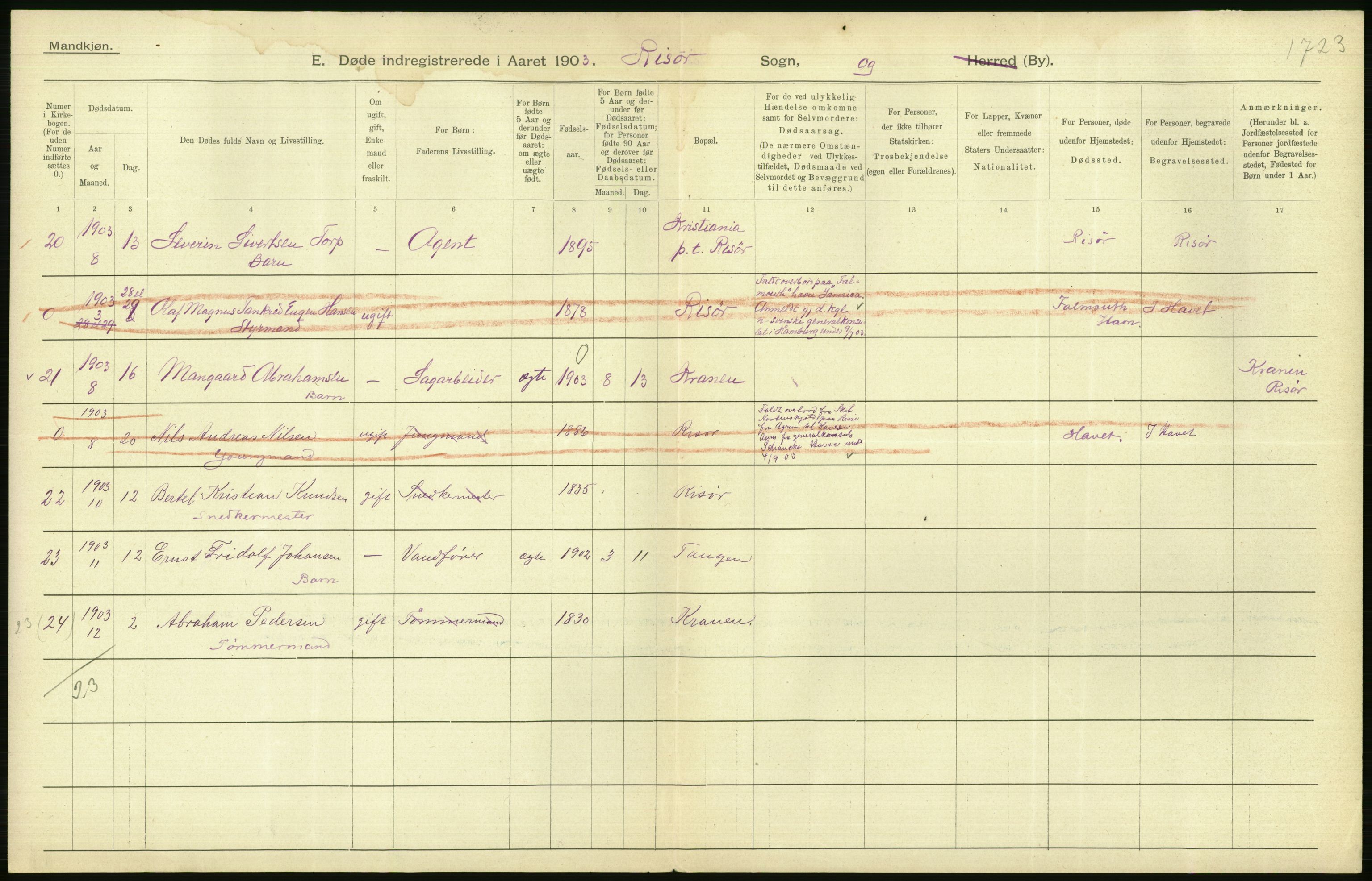 Statistisk sentralbyrå, Sosiodemografiske emner, Befolkning, AV/RA-S-2228/D/Df/Dfa/Dfaa/L0010: Nedenes amt: Fødte, gifte, døde, 1903, s. 510