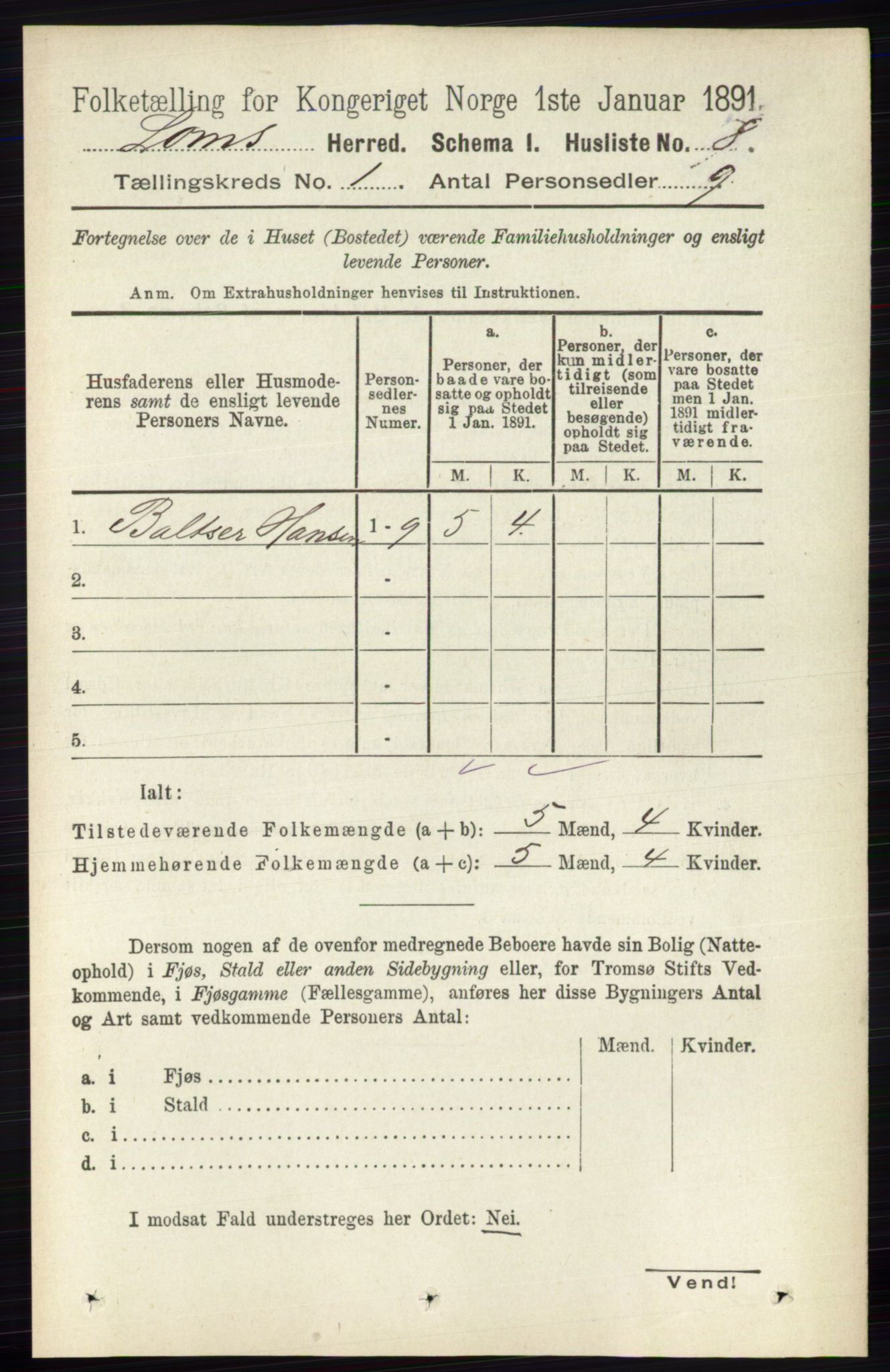 RA, Folketelling 1891 for 0514 Lom herred, 1891, s. 29