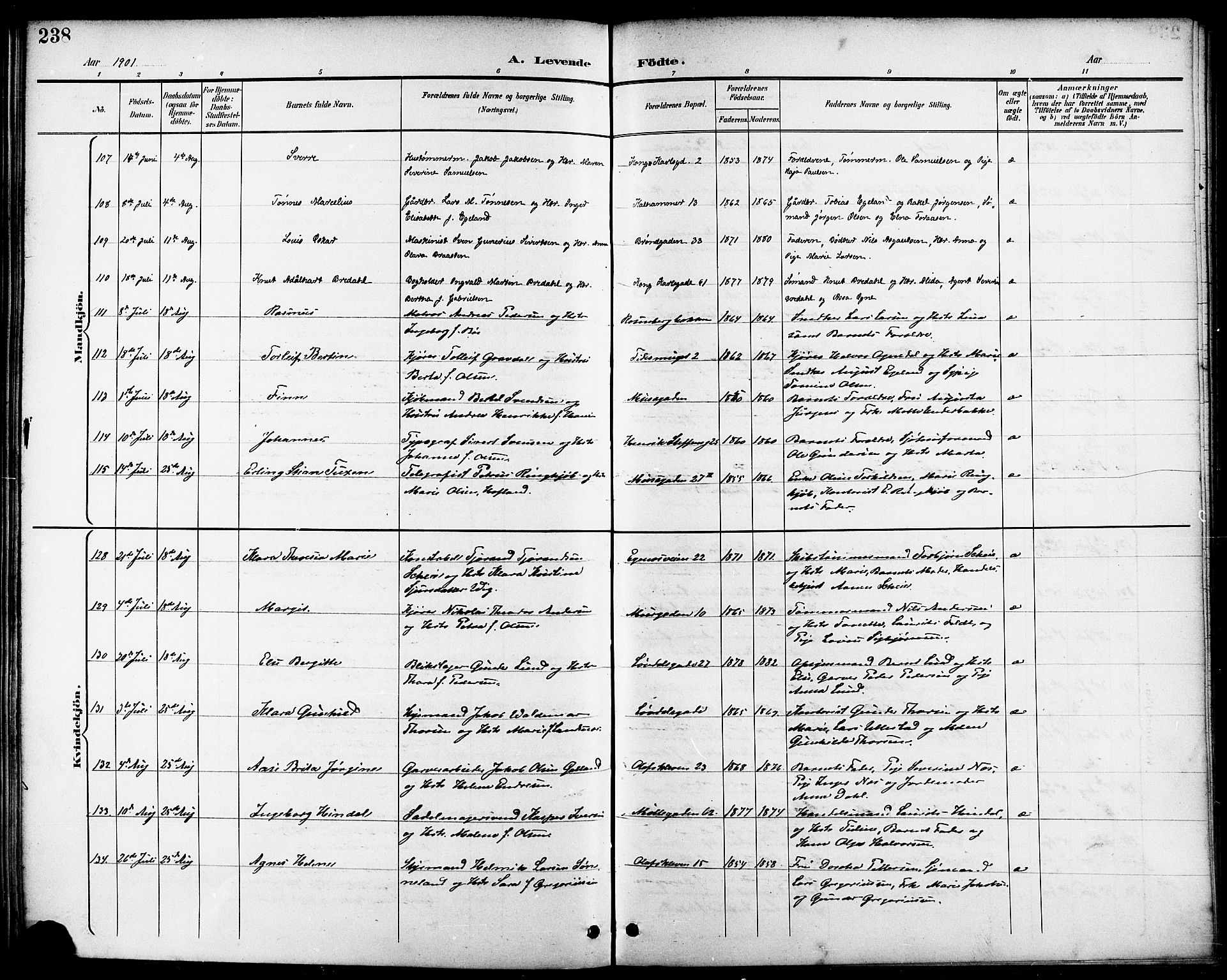 Domkirken sokneprestkontor, AV/SAST-A-101812/001/30/30BB/L0016: Klokkerbok nr. B 16, 1891-1902, s. 238