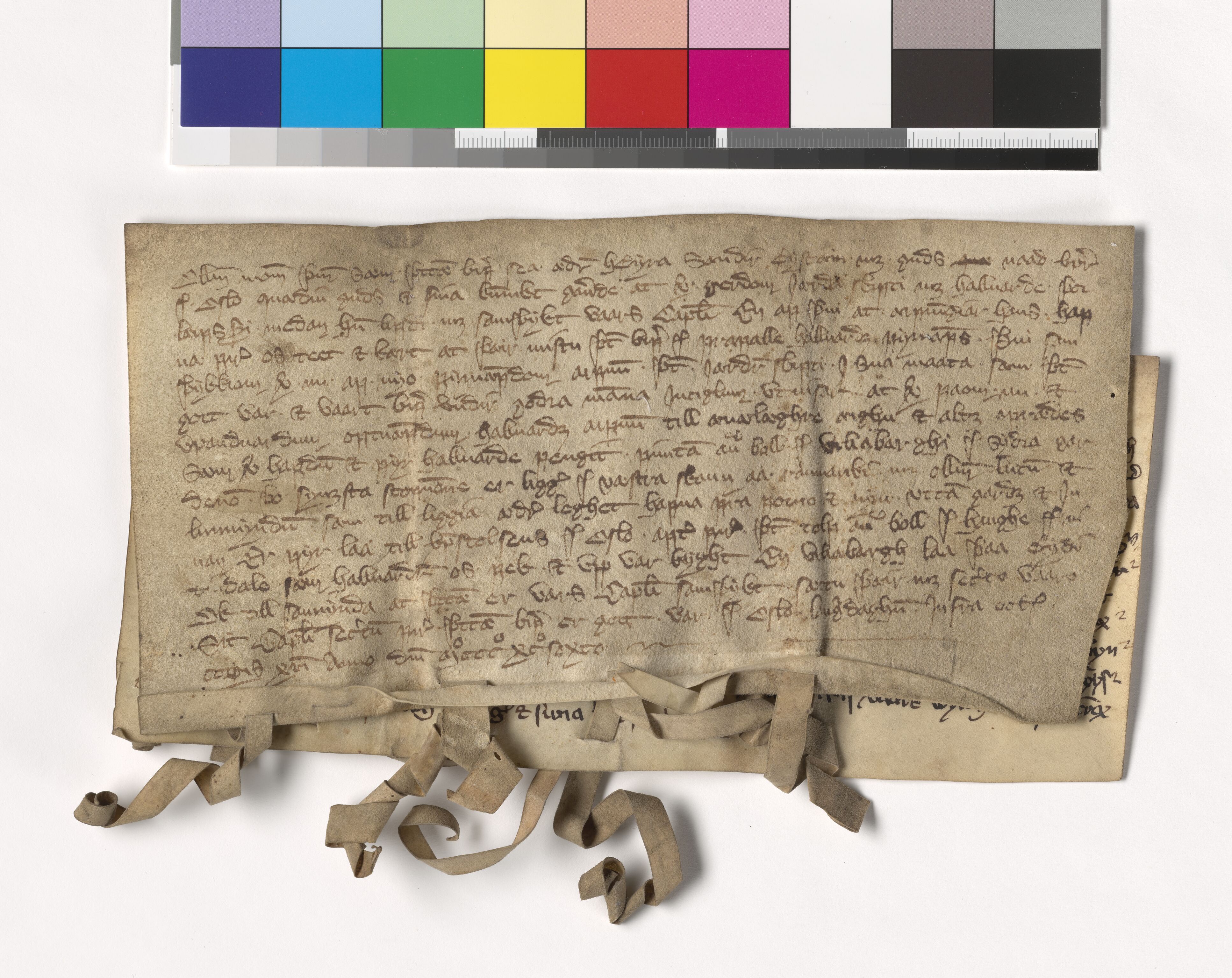 Riksarkivets diplomsamling, AV/RA-EA-5965/F05/L0118: NRA AM fasc. 38 nr. 6-9, 1393-1397, s. 12