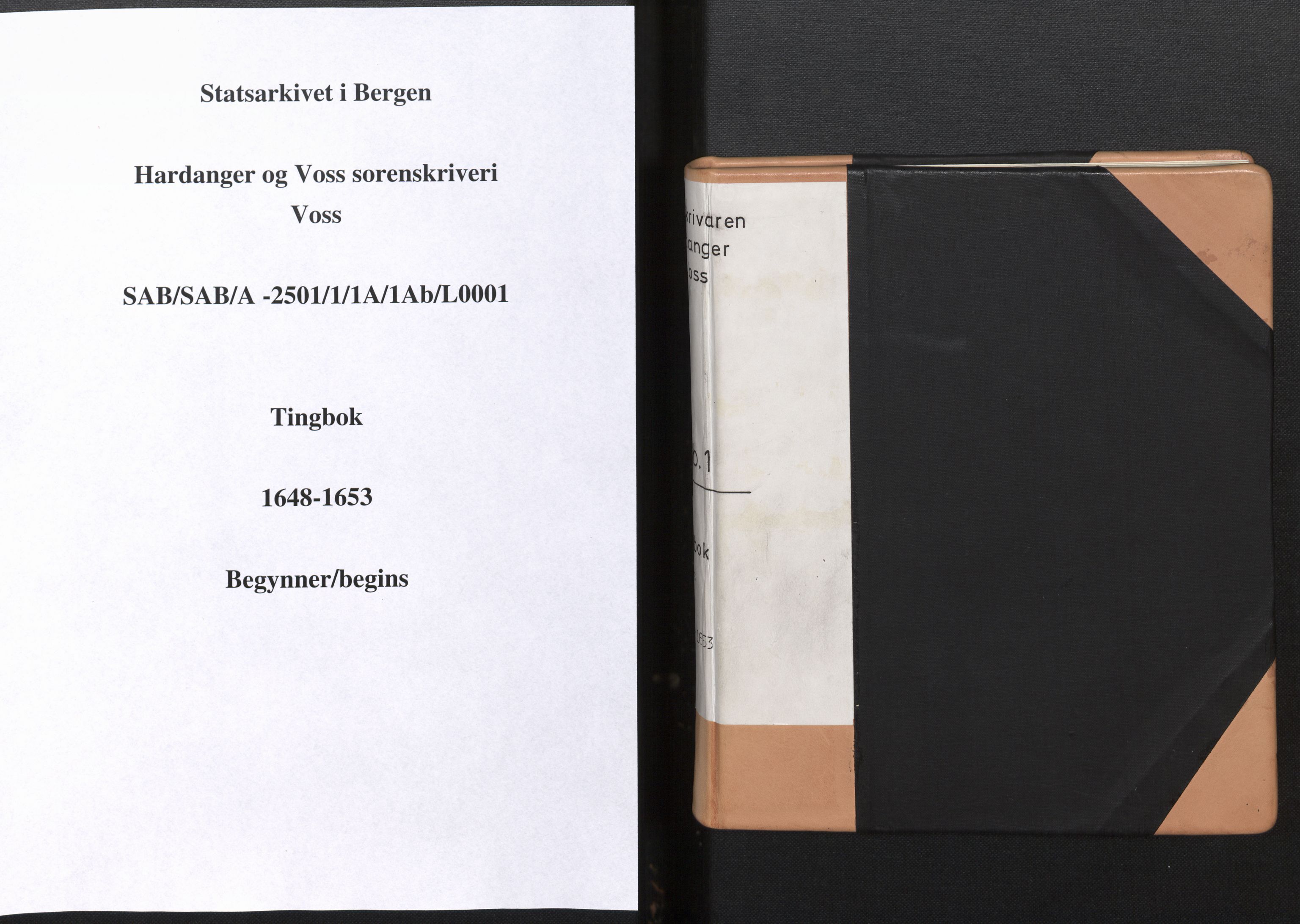 Hardanger og Voss sorenskriveri, SAB/A-2501/1/1A/1Ab/L0001: Tingbok for Voss, 1648-1653