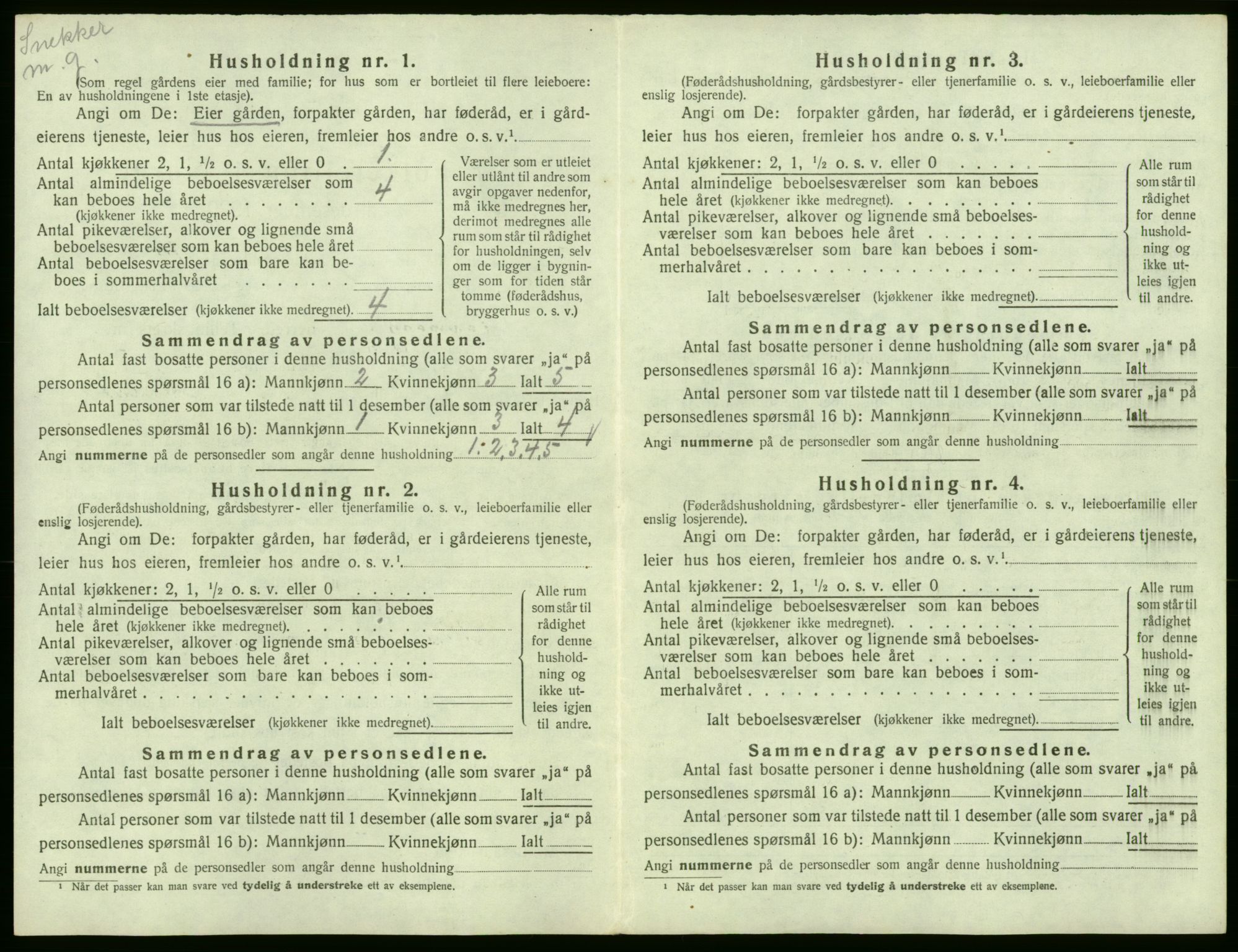 SAB, Folketelling 1920 for 1230 Ullensvang herred, 1920, s. 204