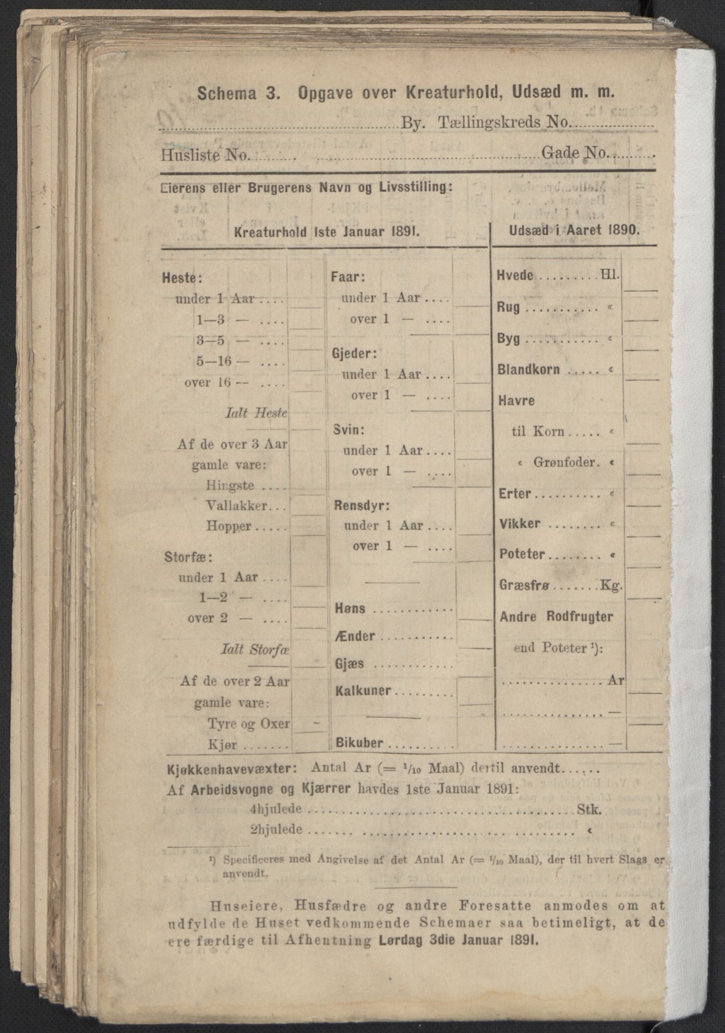 RA, Folketelling 1891 for 1301 Bergen kjøpstad, 1891, s. 3781