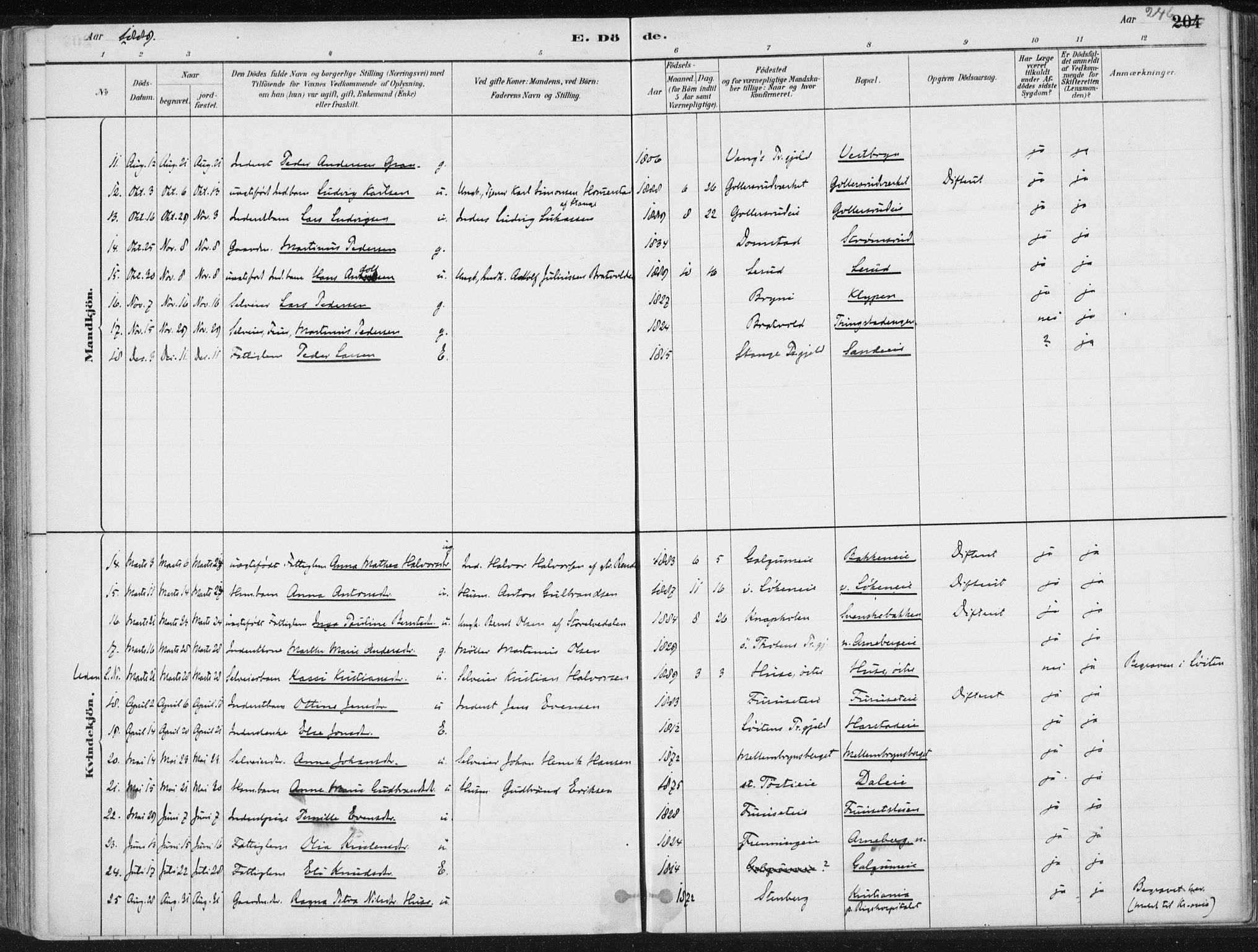 Romedal prestekontor, AV/SAH-PREST-004/K/L0010: Ministerialbok nr. 10, 1880-1895, s. 246