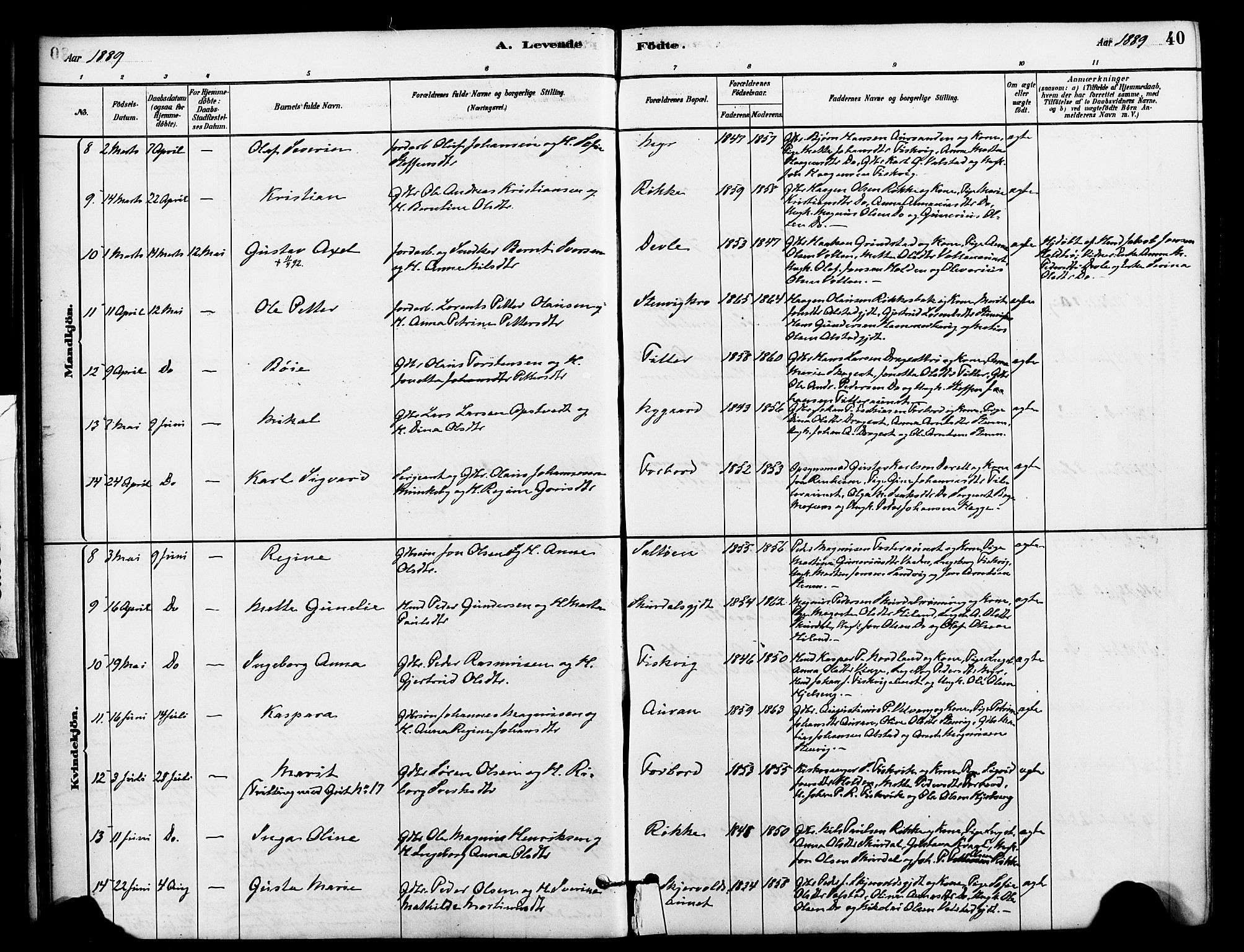 Ministerialprotokoller, klokkerbøker og fødselsregistre - Nord-Trøndelag, AV/SAT-A-1458/712/L0100: Ministerialbok nr. 712A01, 1880-1900, s. 40
