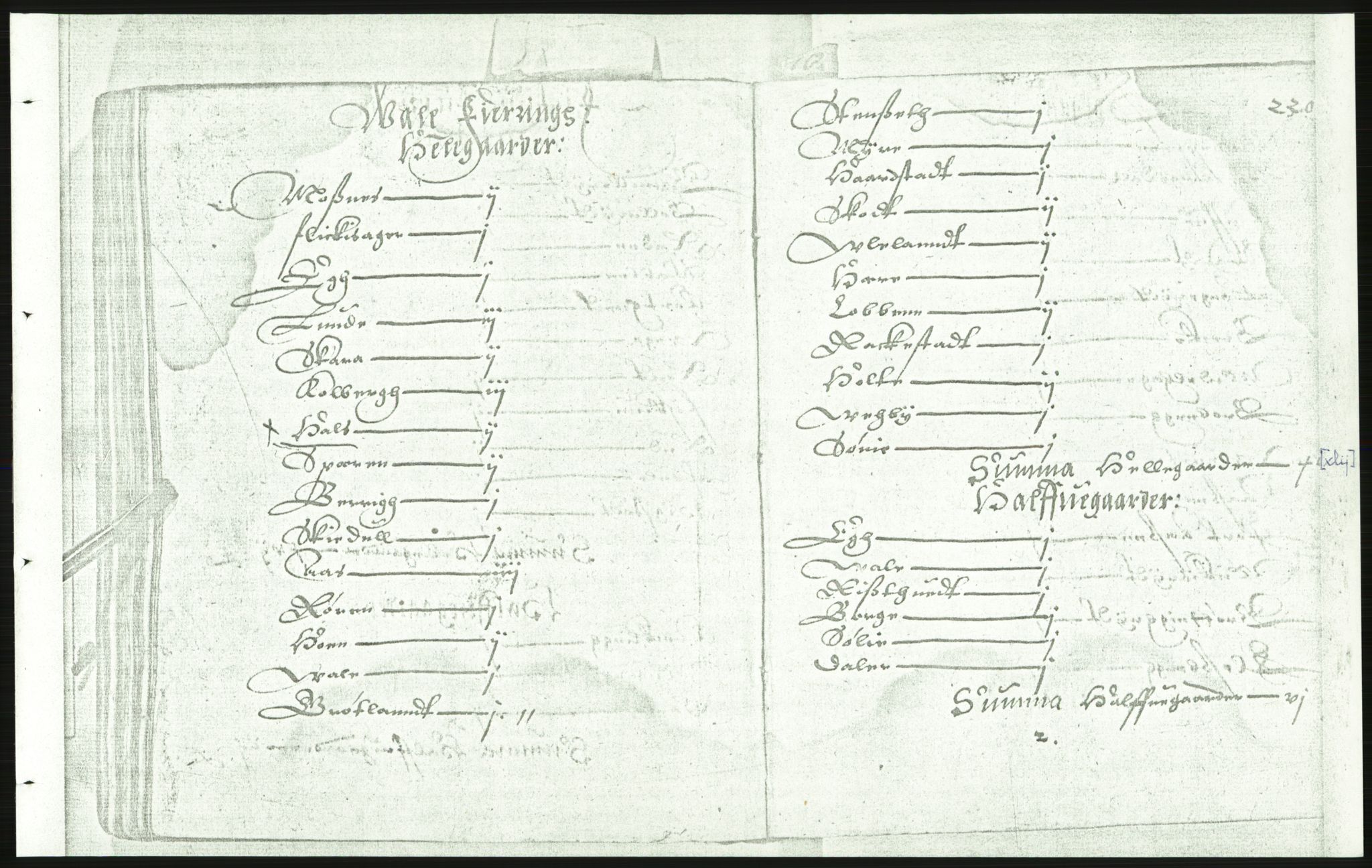 Manuskriptsamlingen, AV/RA-EA-3667/F/L0175c: Kopi av Universitetsbiblioteket, manuskript kvarto nr. 503, Manntall på fulle og halve og ødegårder uti Oslo og Hamar stift anno 1602, III Øvre Telemark, Bragernes, Øvre Romerike, 1602, s. 229b-230a