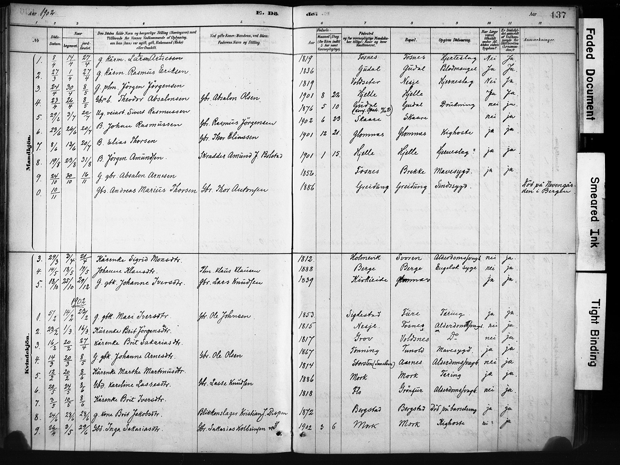 Stryn Sokneprestembete, AV/SAB-A-82501: Ministerialbok nr. D 1, 1878-1907, s. 137