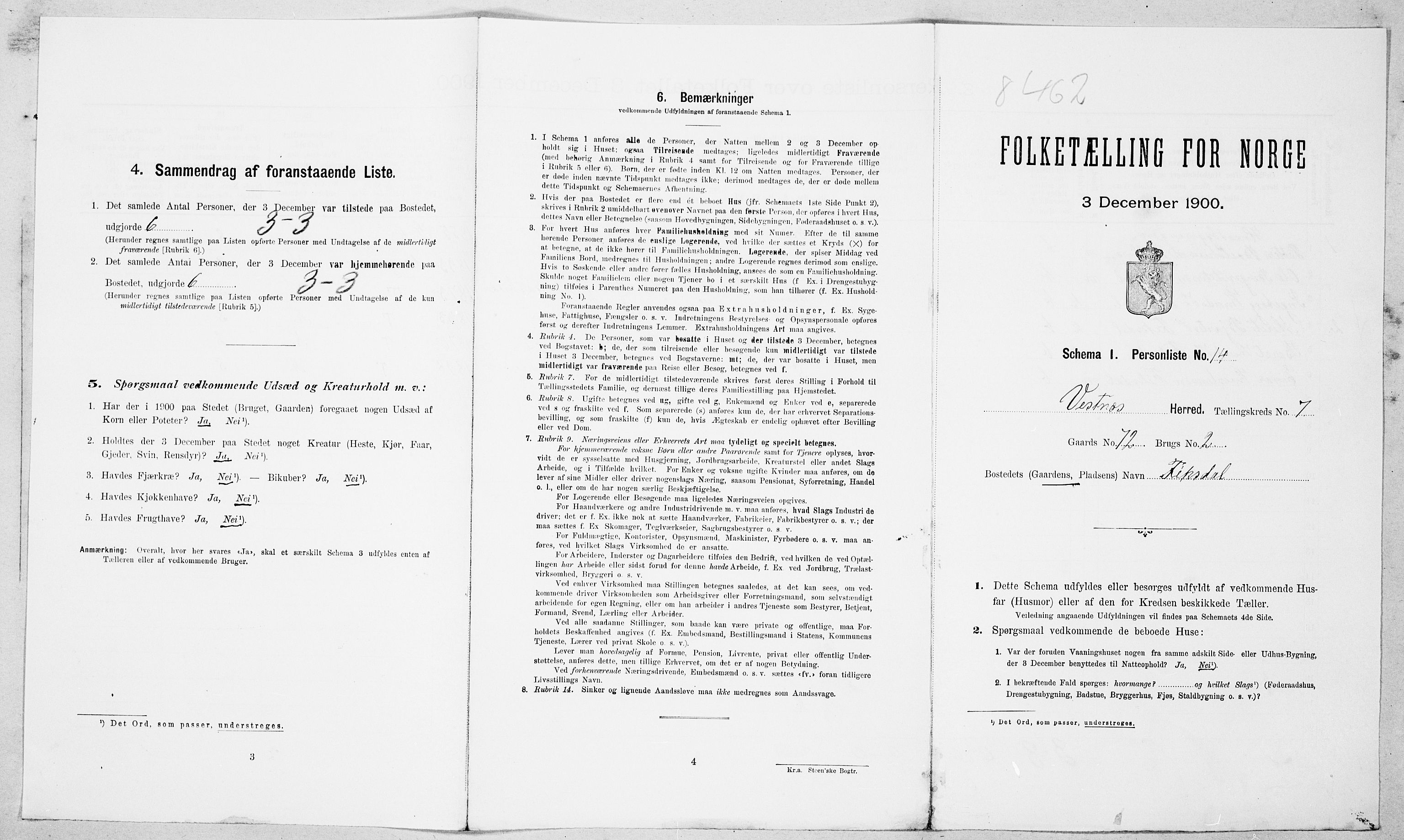 SAT, Folketelling 1900 for 1535 Vestnes herred, 1900, s. 703
