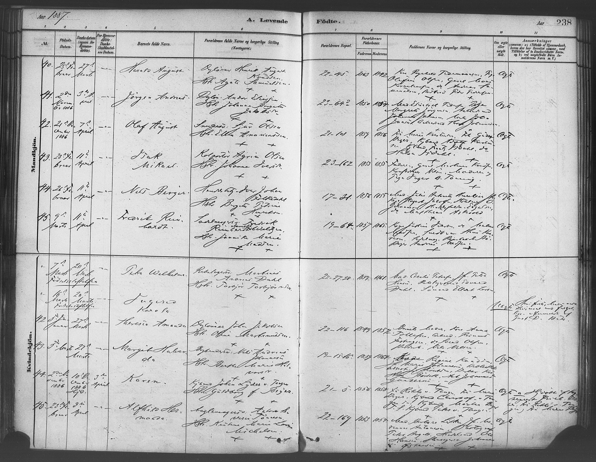 Korskirken sokneprestembete, SAB/A-76101/H/Haa/L0021: Ministerialbok nr. B 7, 1878-1889, s. 238