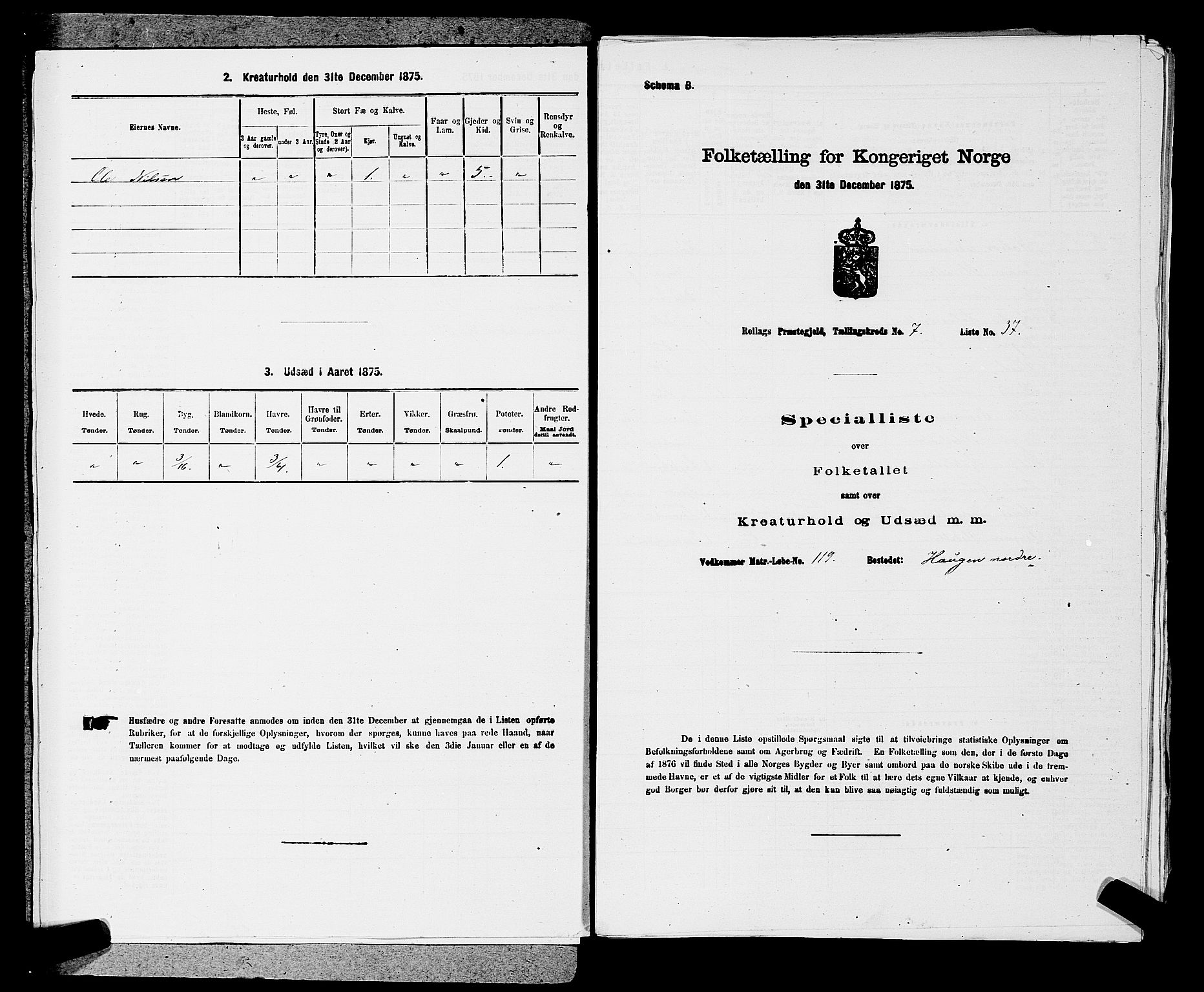 SAKO, Folketelling 1875 for 0632P Rollag prestegjeld, 1875, s. 437