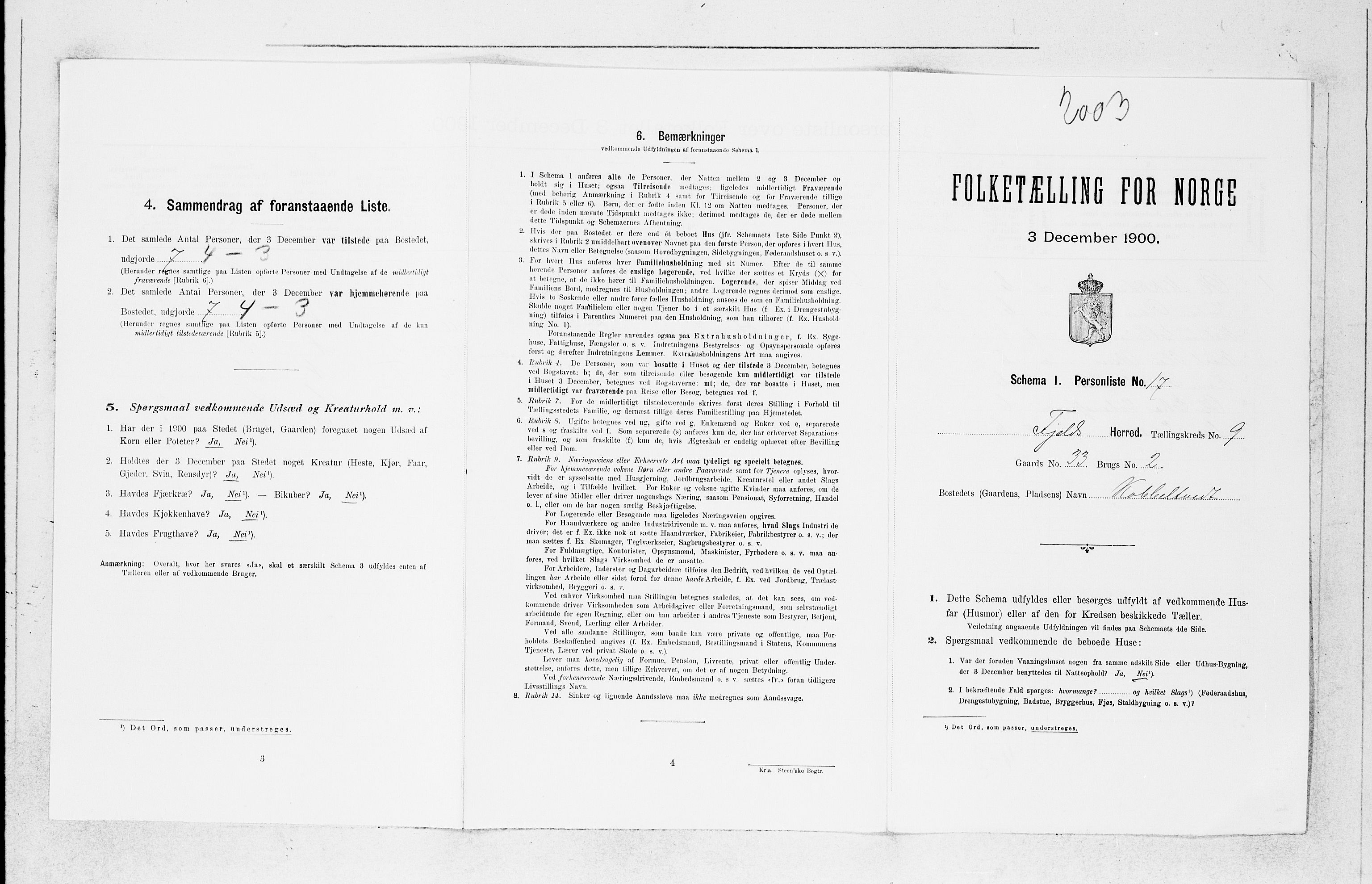 SAB, Folketelling 1900 for 1246 Fjell herred, 1900, s. 1013