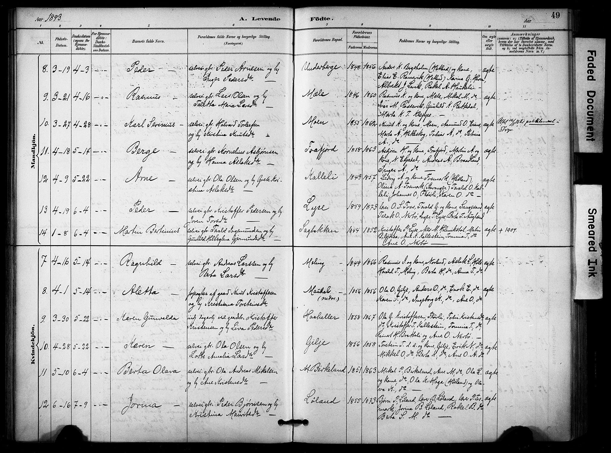 Høgsfjord sokneprestkontor, AV/SAST-A-101624/H/Ha/Haa/L0006: Ministerialbok nr. A 6, 1885-1897, s. 49