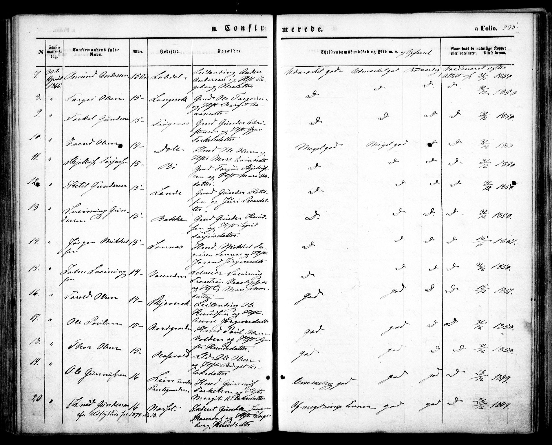 Bygland sokneprestkontor, AV/SAK-1111-0006/F/Fa/Fab/L0005: Ministerialbok nr. A 5, 1859-1873, s. 225