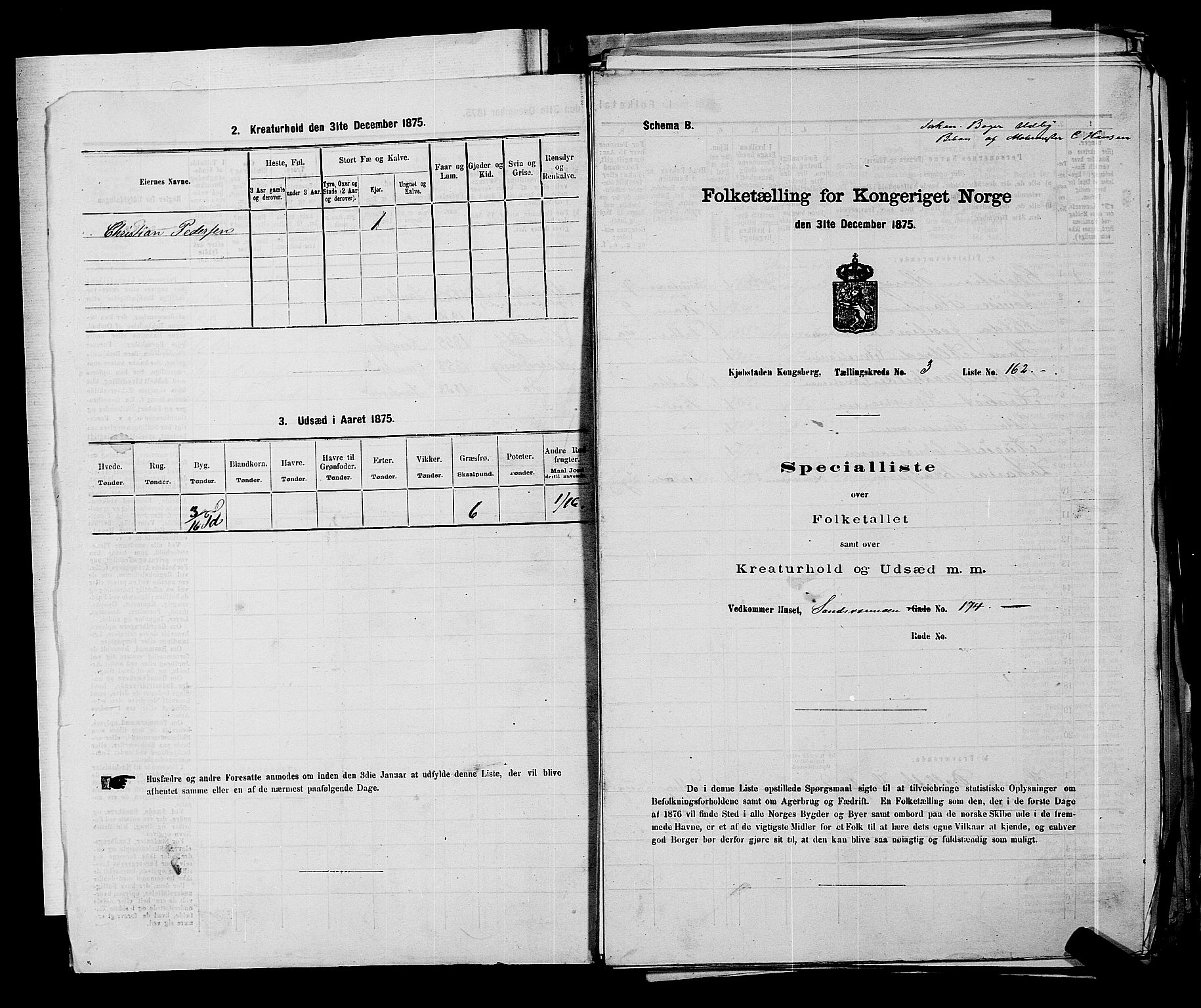 SAKO, Folketelling 1875 for 0604B Kongsberg prestegjeld, Kongsberg kjøpstad, 1875, s. 384