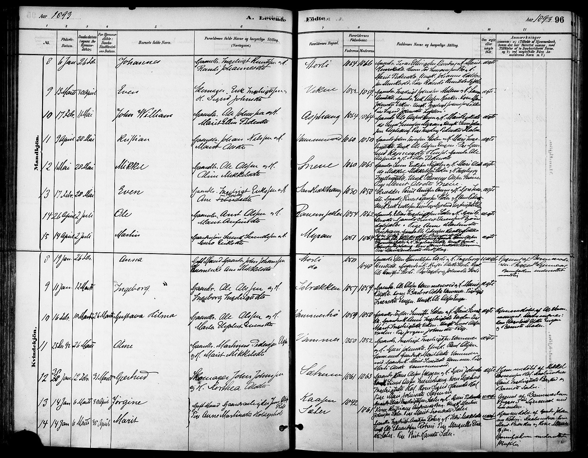 Ministerialprotokoller, klokkerbøker og fødselsregistre - Sør-Trøndelag, AV/SAT-A-1456/678/L0901: Ministerialbok nr. 678A10, 1881-1894, s. 96
