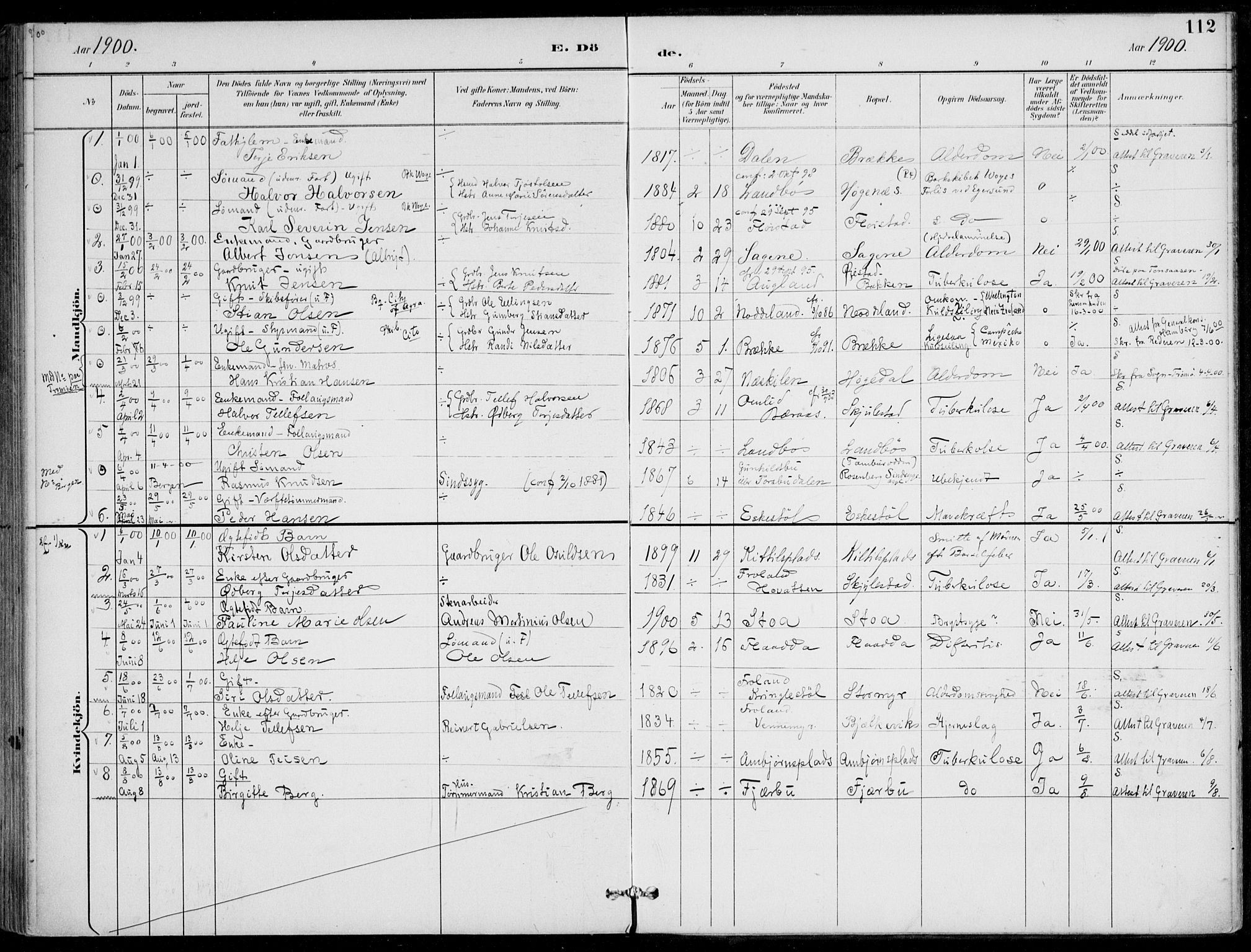 Austre Moland sokneprestkontor, AV/SAK-1111-0001/F/Fa/Faa/L0011: Ministerialbok nr. A 11, 1894-1915, s. 112