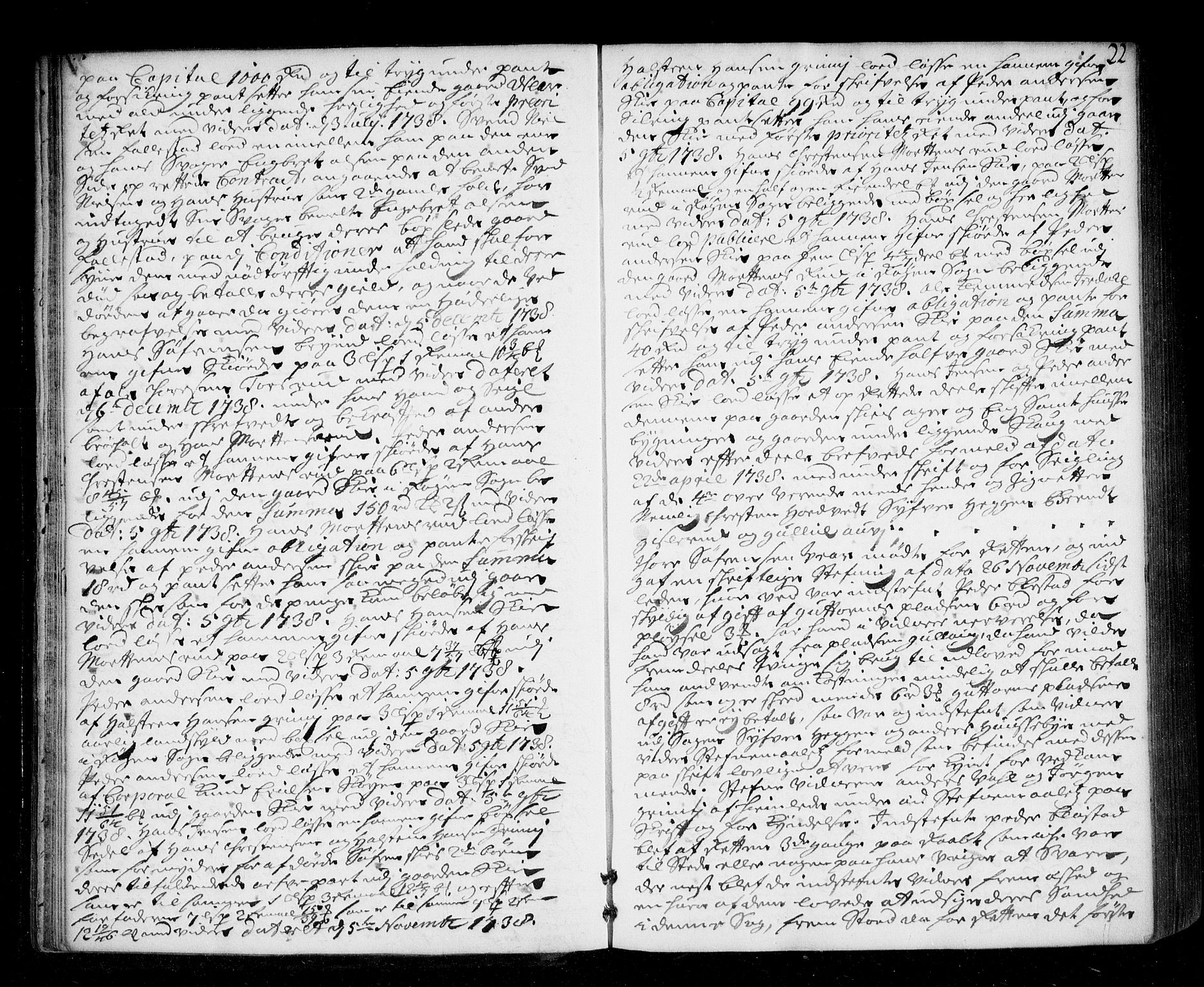 Lier, Røyken og Hurum sorenskriveri, AV/SAKO-A-89/F/Fa/L0049: Tingbok, 1738-1741, s. 22