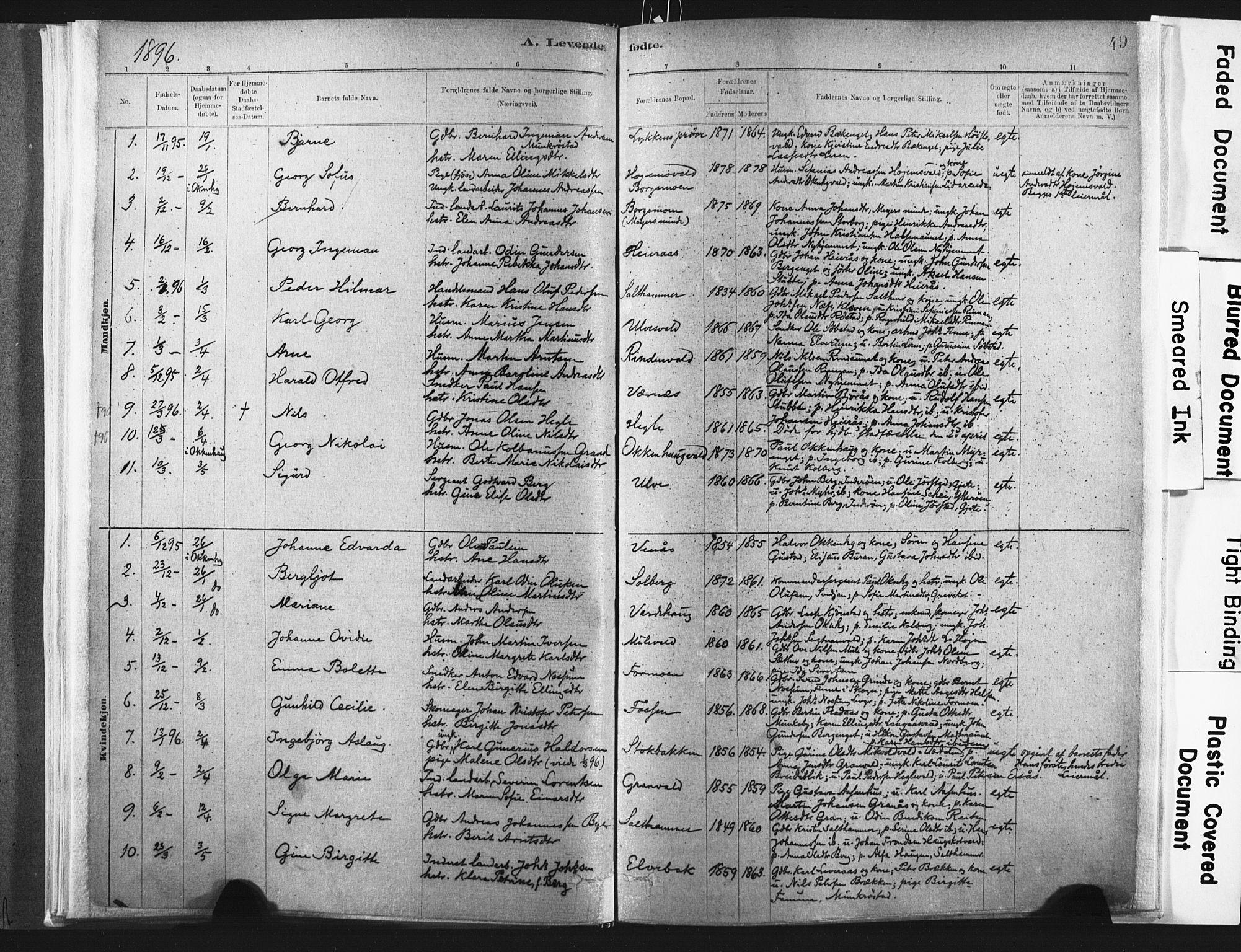 Ministerialprotokoller, klokkerbøker og fødselsregistre - Nord-Trøndelag, SAT/A-1458/721/L0207: Ministerialbok nr. 721A02, 1880-1911, s. 49