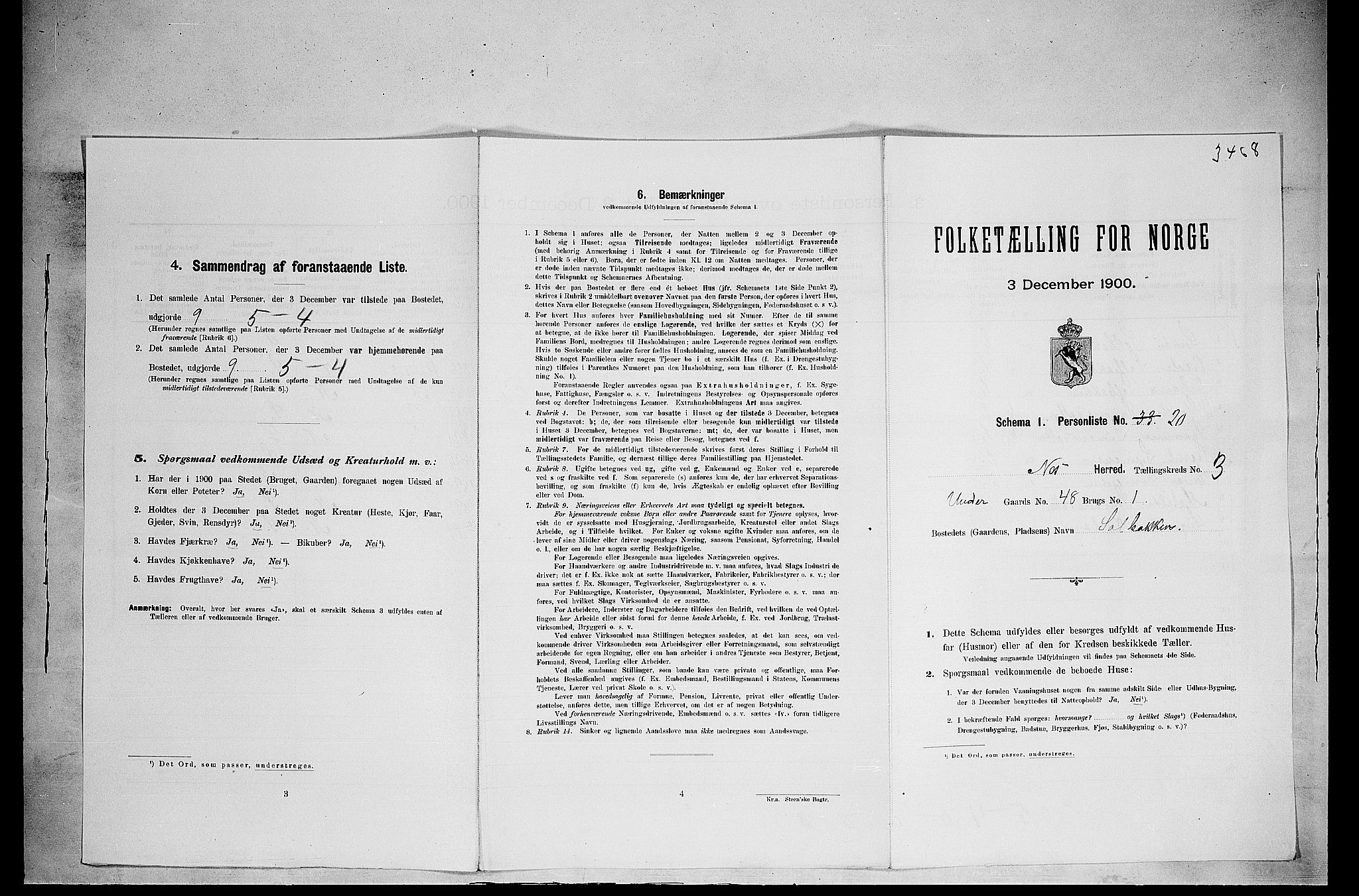 SAH, Folketelling 1900 for 0411 Nes herred, 1900, s. 474