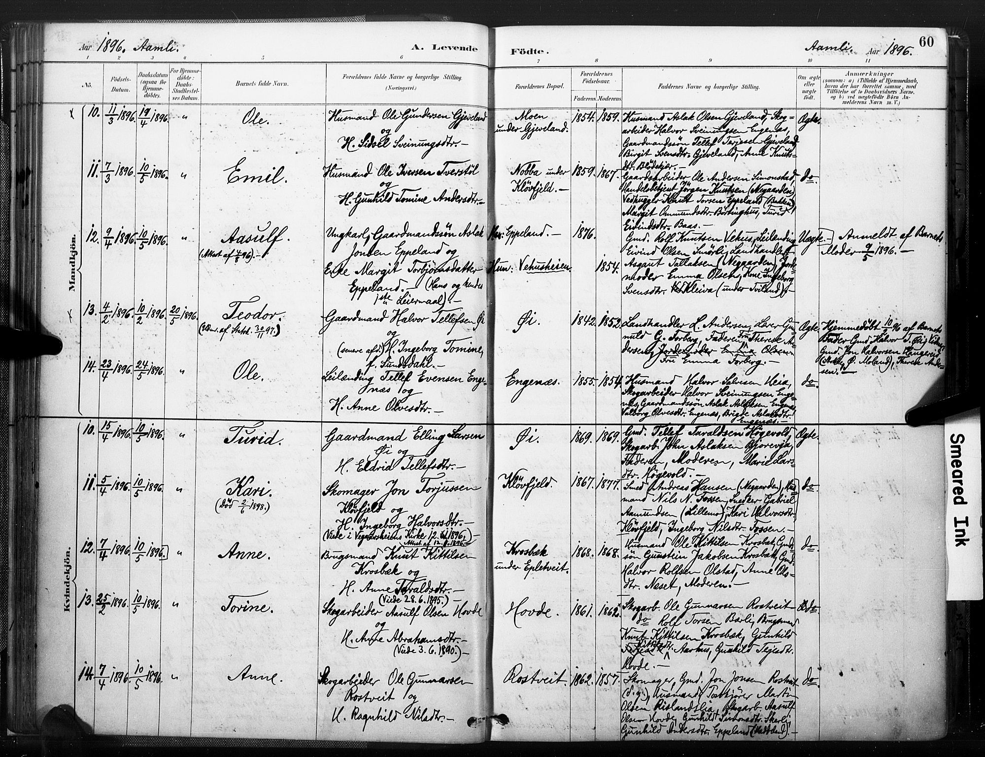 Åmli sokneprestkontor, AV/SAK-1111-0050/F/Fa/Fac/L0010: Ministerialbok nr. A 10 /1, 1885-1899, s. 60