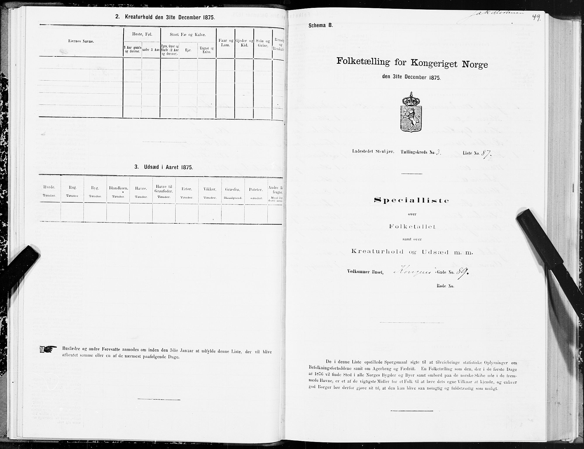 SAT, Folketelling 1875 for 1702B Steinkjer prestegjeld, Steinkjer ladested, 1875, s. 49